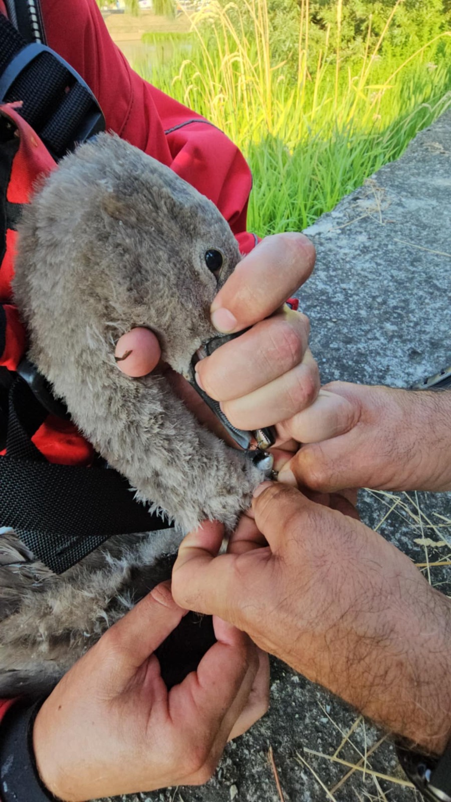 WhatsApp Image 2025-07-14 at 10.41.12 (1)