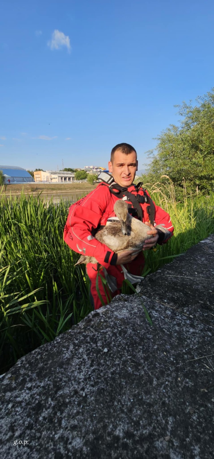 WhatsApp Image 2025-07-14 at 10.41.12