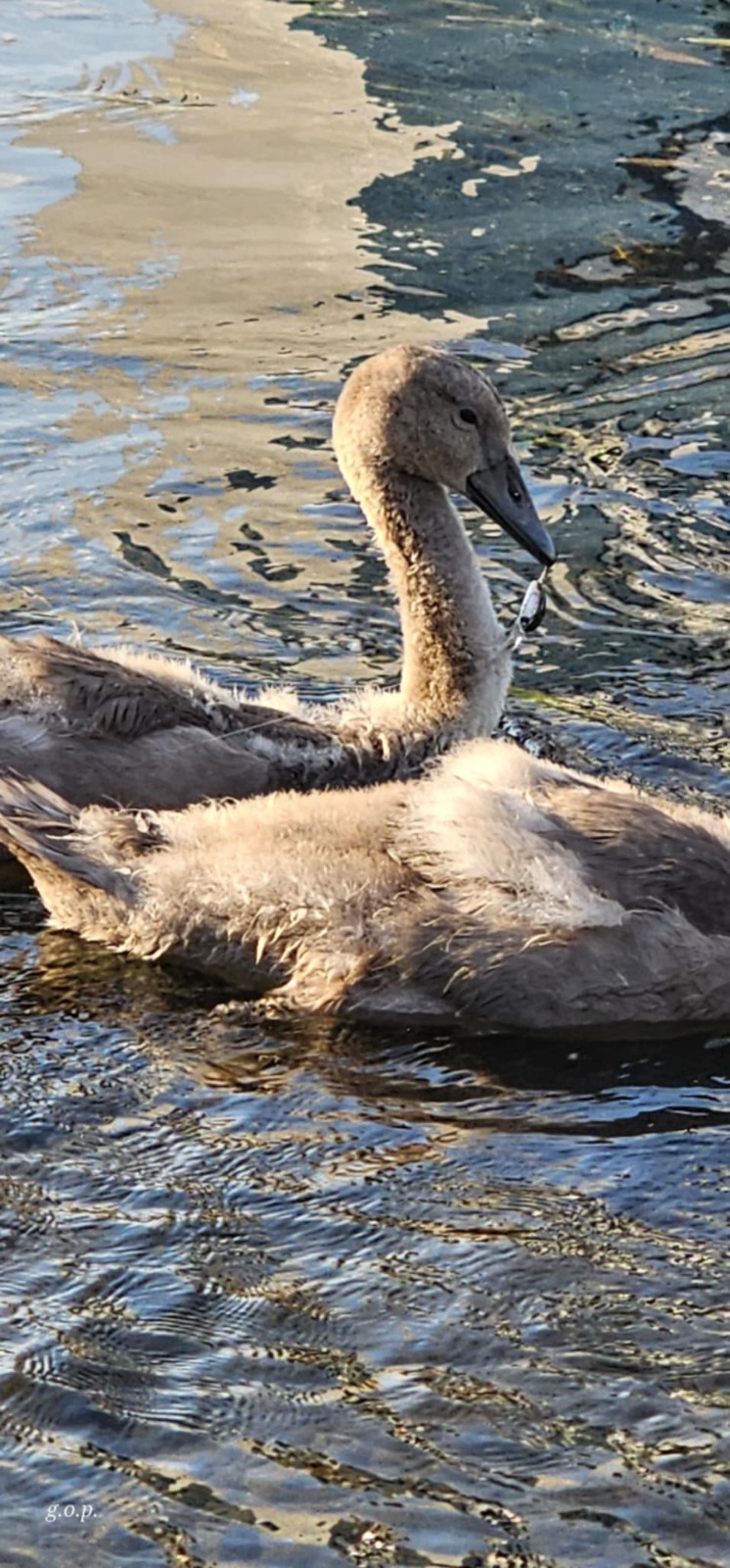 WhatsApp Image 2025-07-14 at 10.41.12 (2)