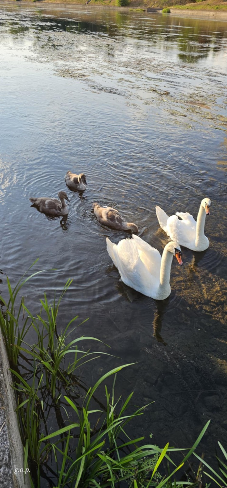 WhatsApp Image 2025-07-14 at 10.41.13 (1)