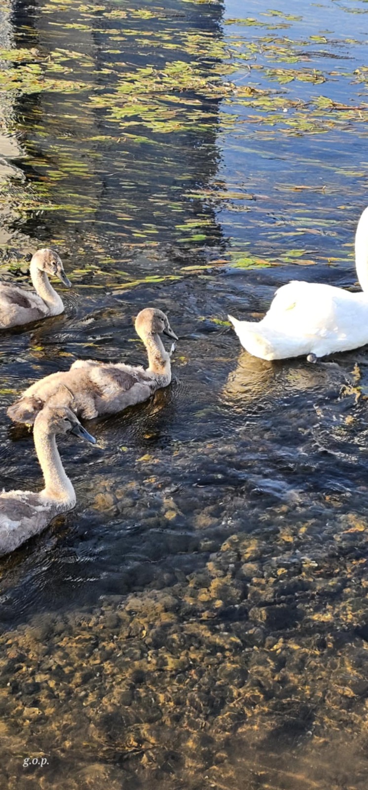 WhatsApp Image 2025-07-14 at 10.41.14