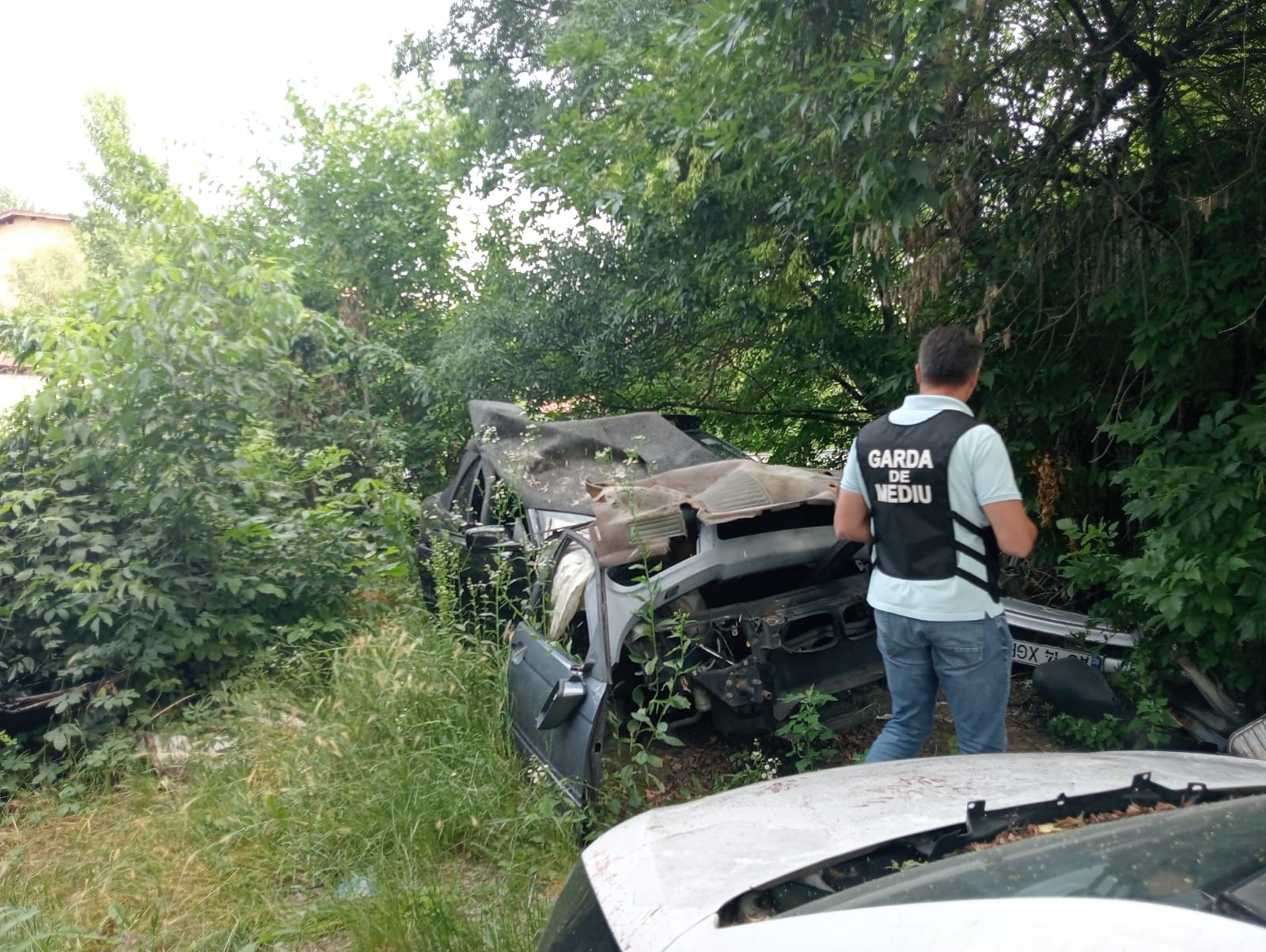 518395750_1190965019728145_2905322835137092197_n