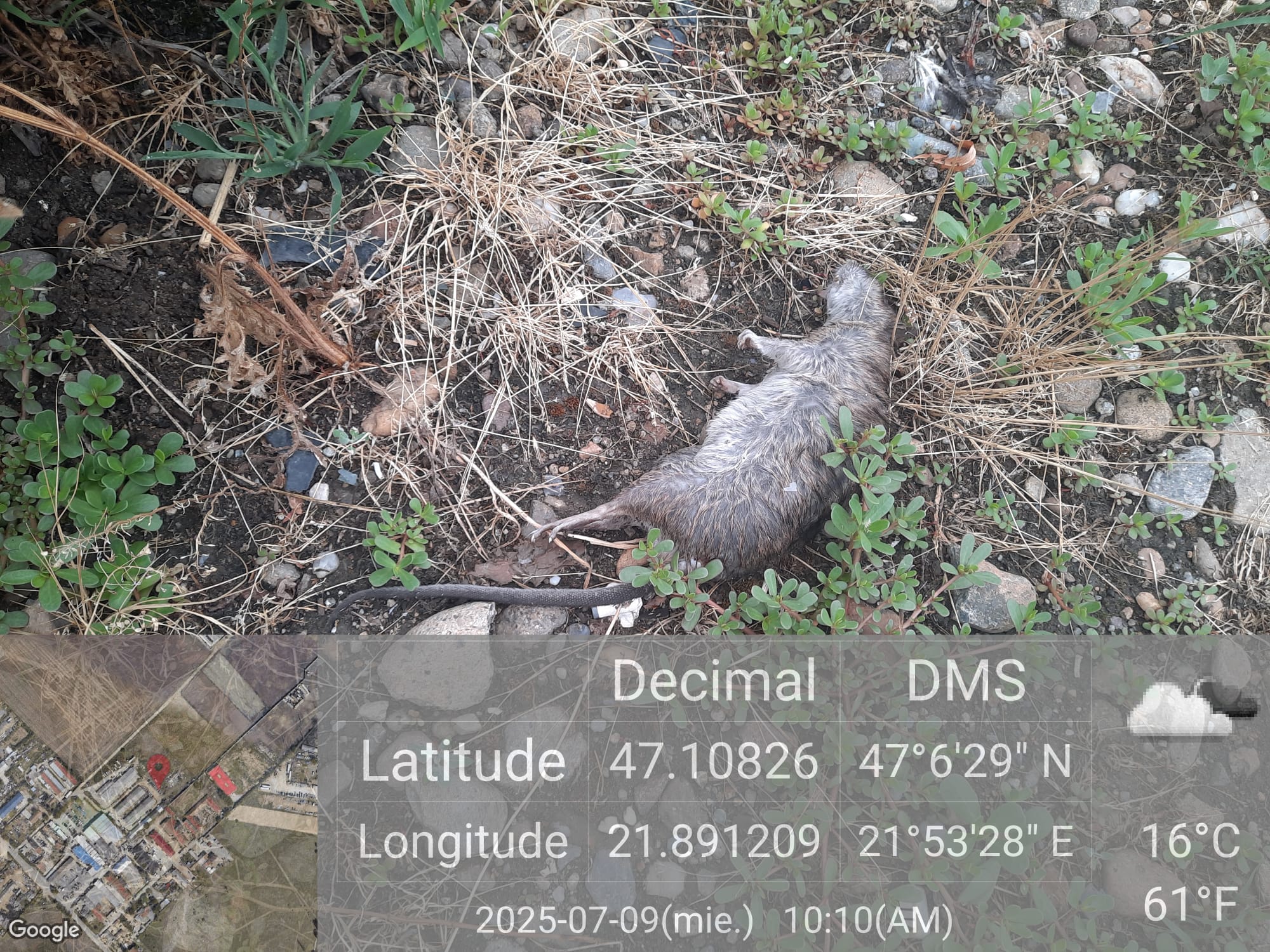 518383960_1190966413061339_4989421890983228872_n