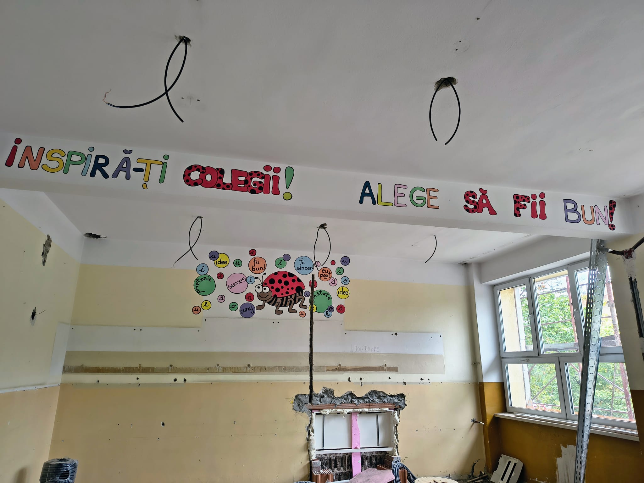 WhatsApp Image 2025-07-17 at 13.28.55 (1)