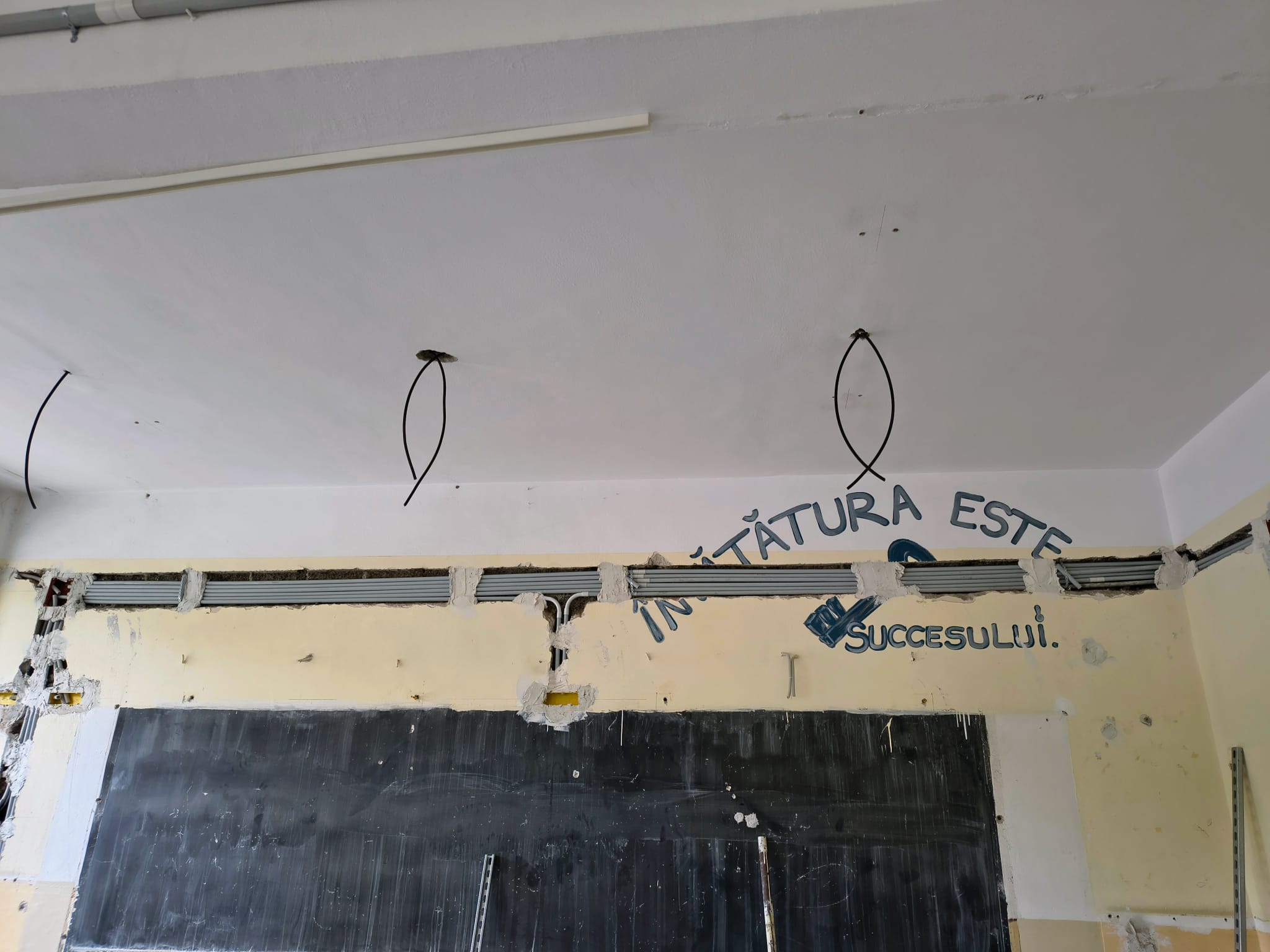 WhatsApp Image 2025-07-17 at 13.28.55