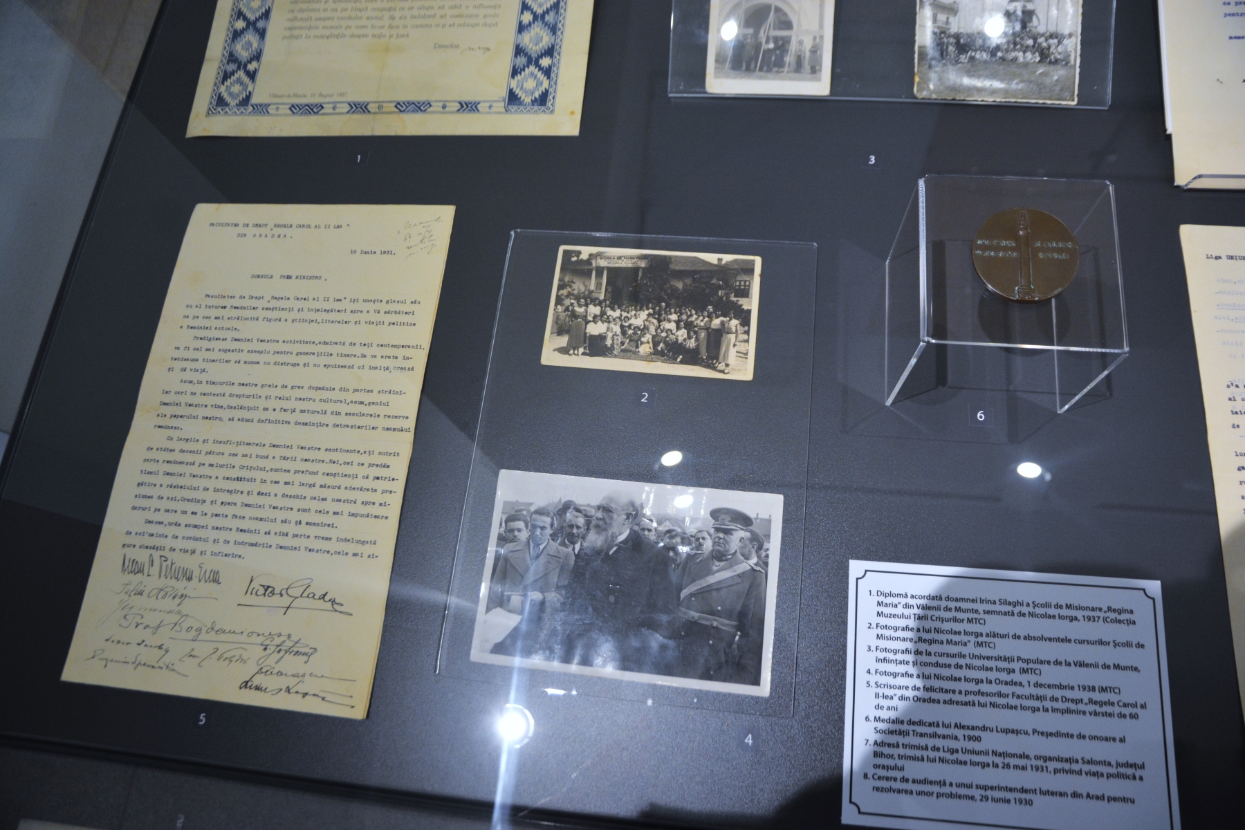 Expoziţie Nicolae Iorga (9)