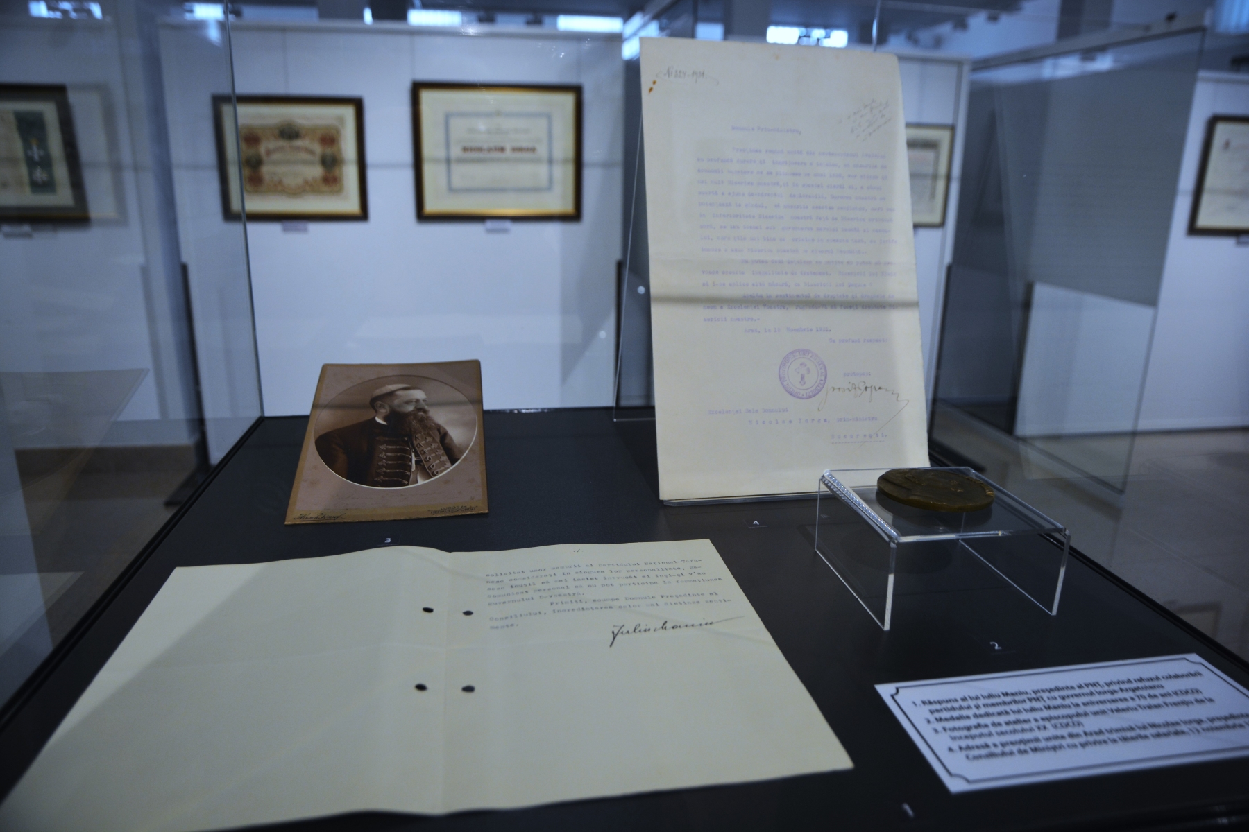 Expoziţie Nicolae Iorga (13)