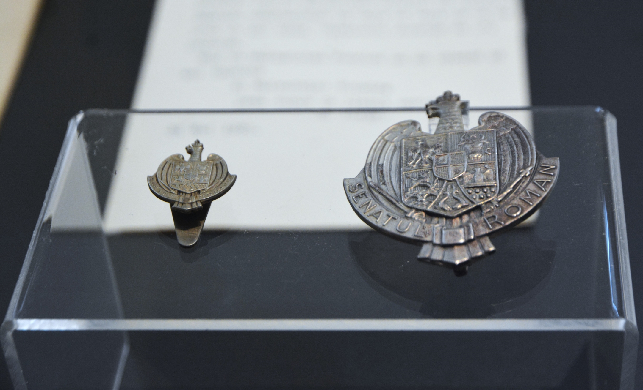 Expoziţie Nicolae Iorga (23)