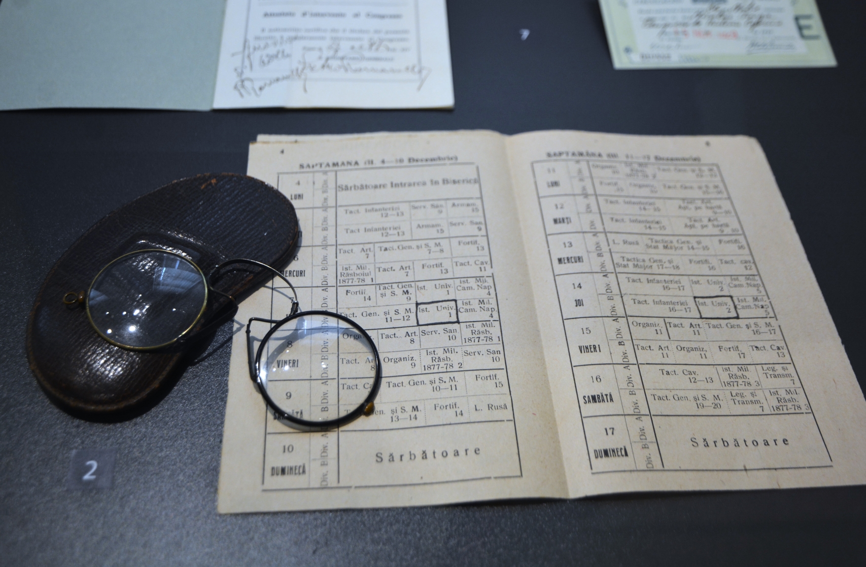 Expoziţie Nicolae Iorga (24)