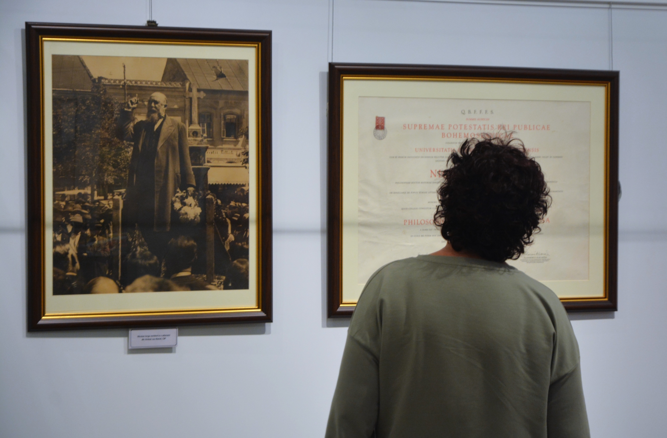 Expoziţie Nicolae Iorga (41)