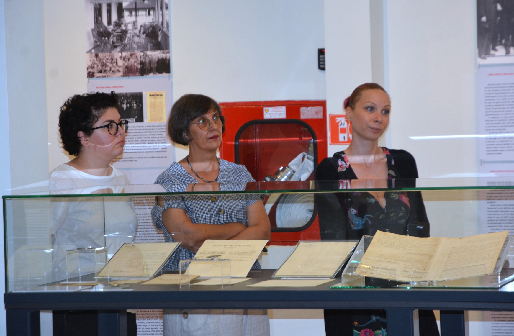 Expoziţie Nicolae Iorga (61)