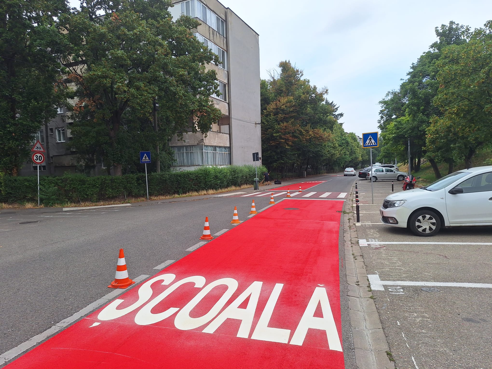 treceri de pieton (7)