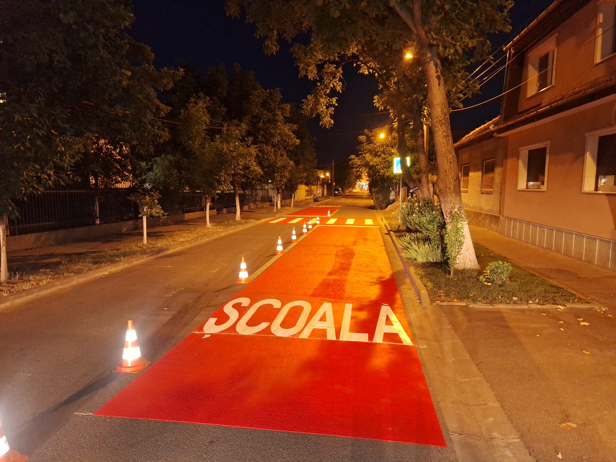 treceri de pieton (2)