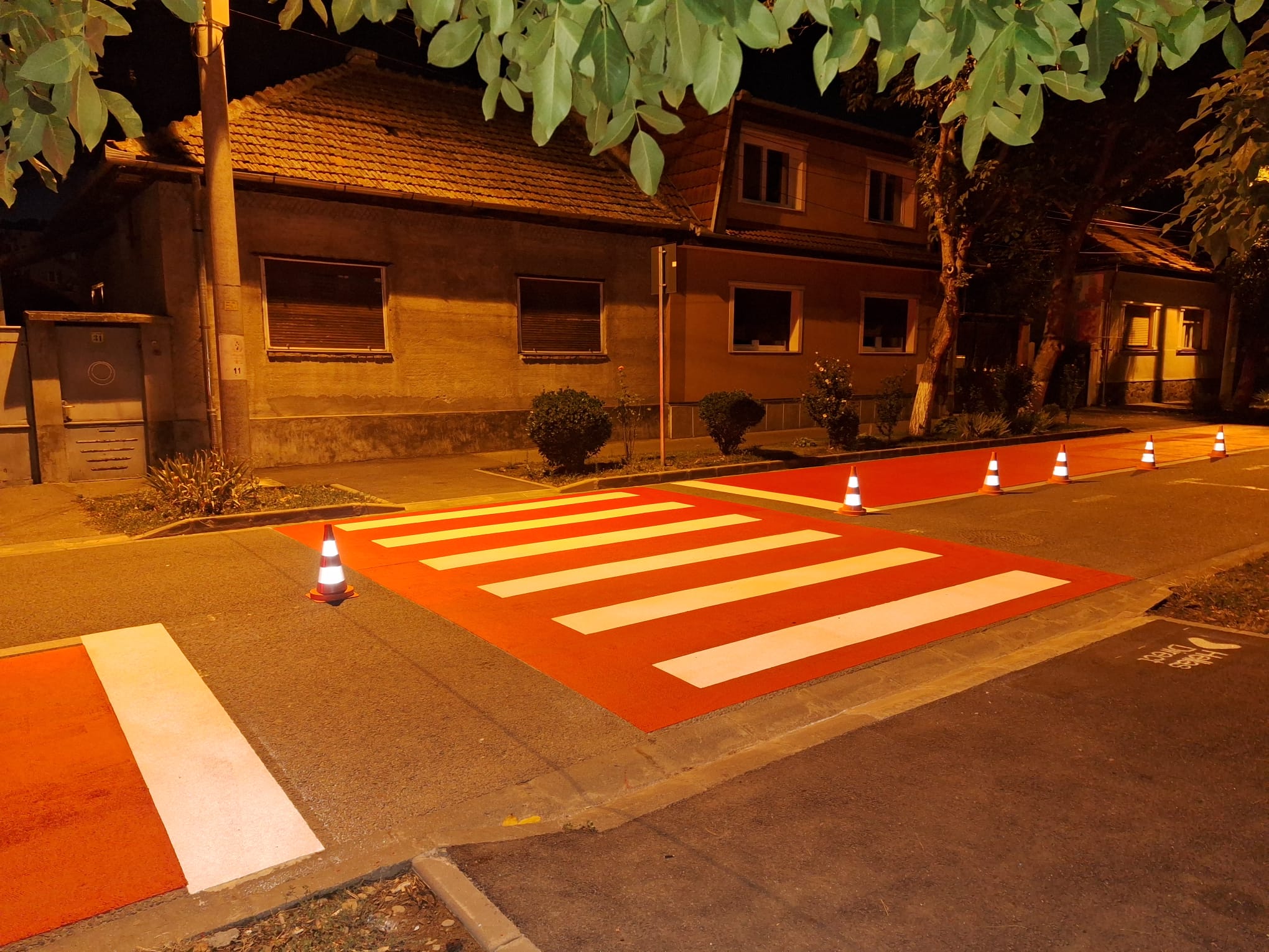 treceri de pieton (3)