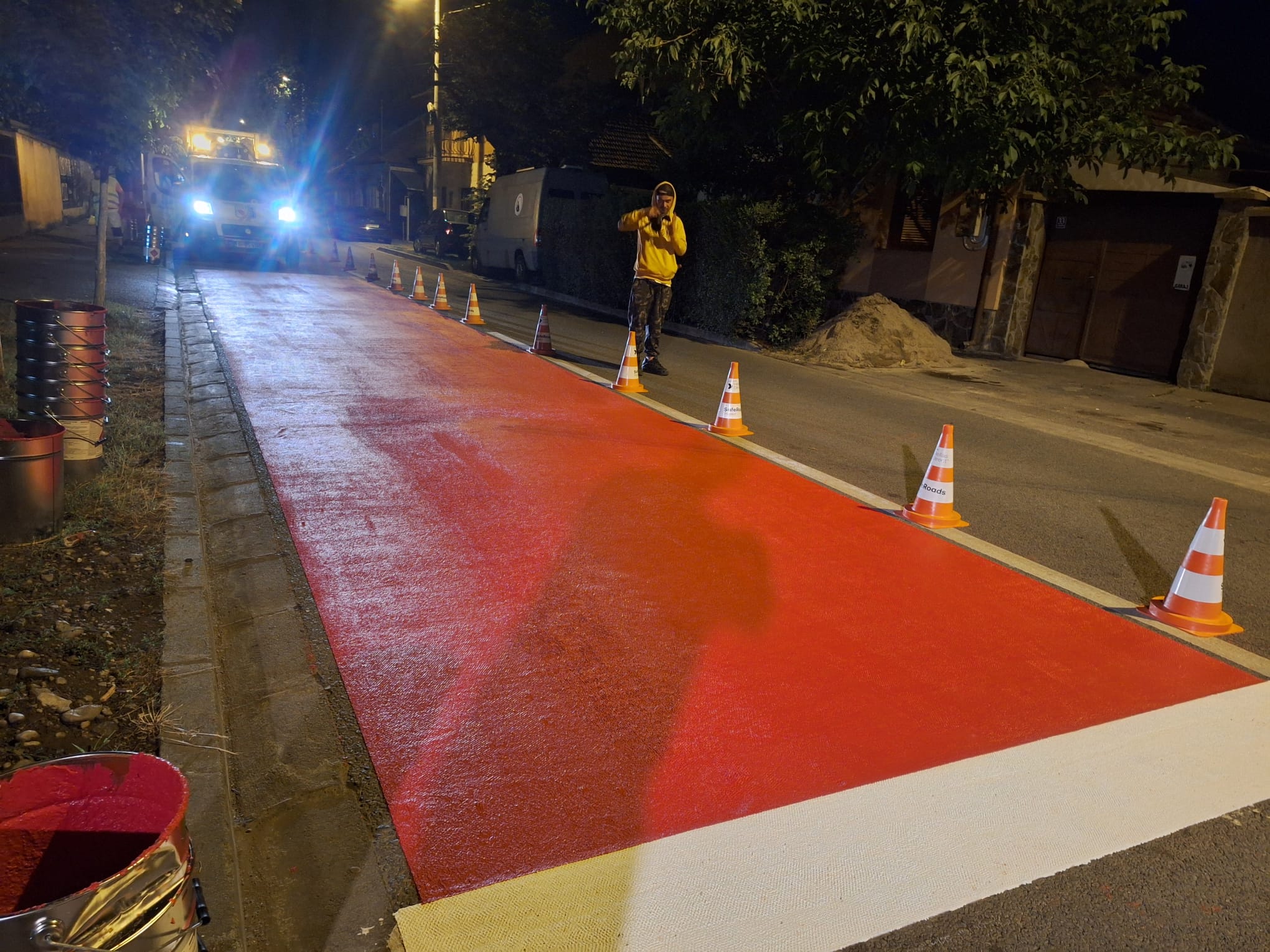 treceri de pieton (4)