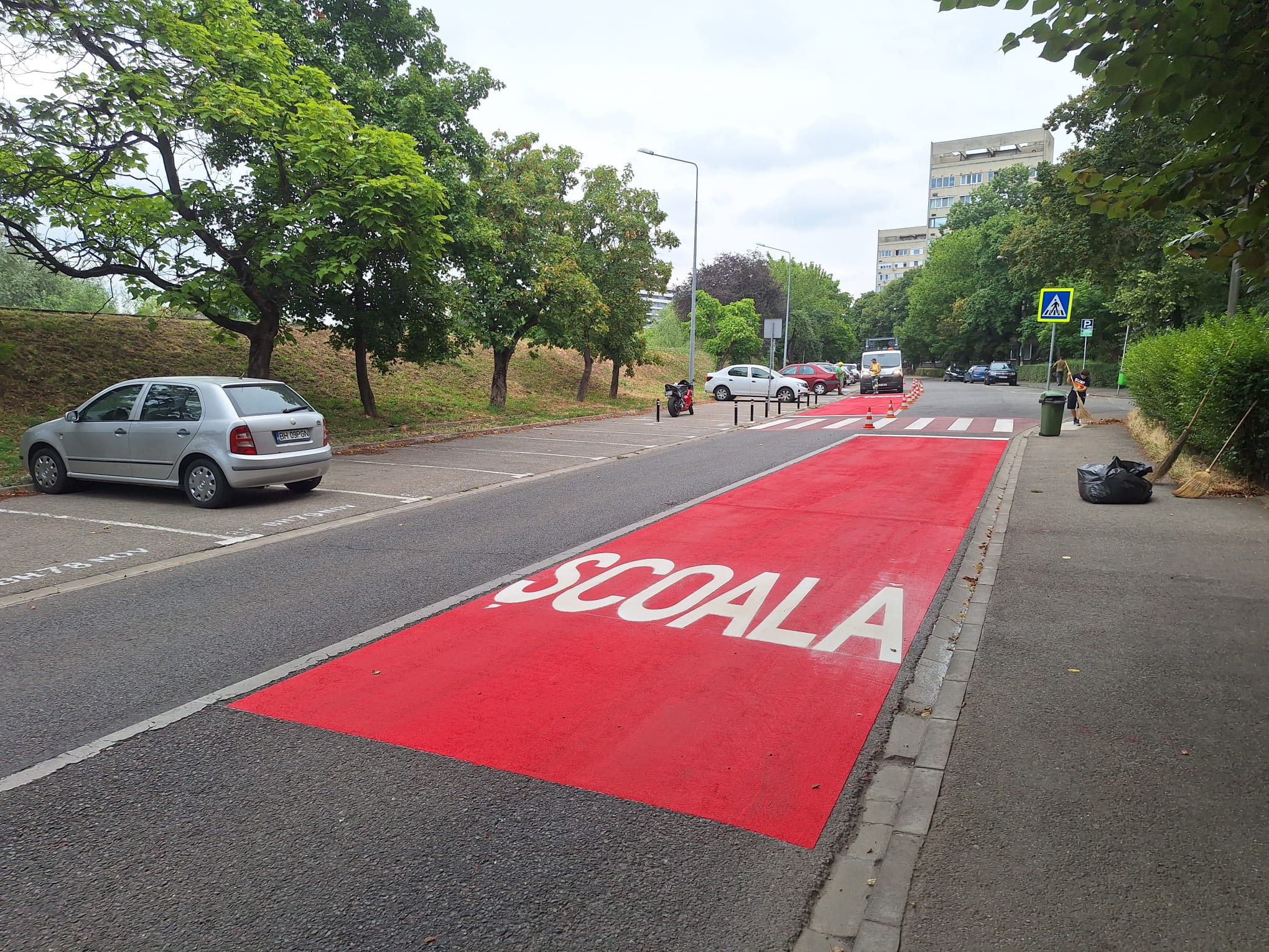 treceri de pieton (5)