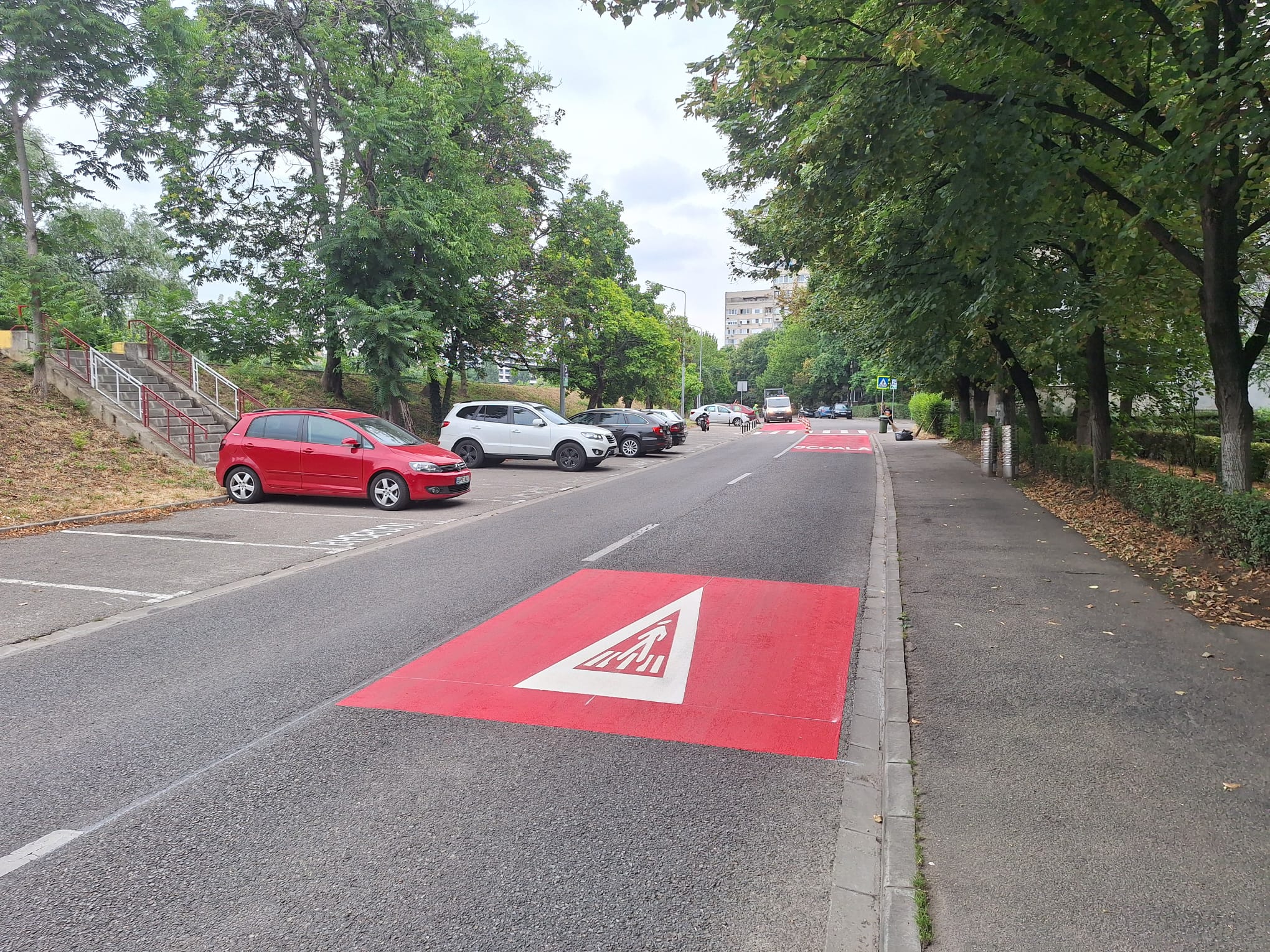 treceri de pieton (6)