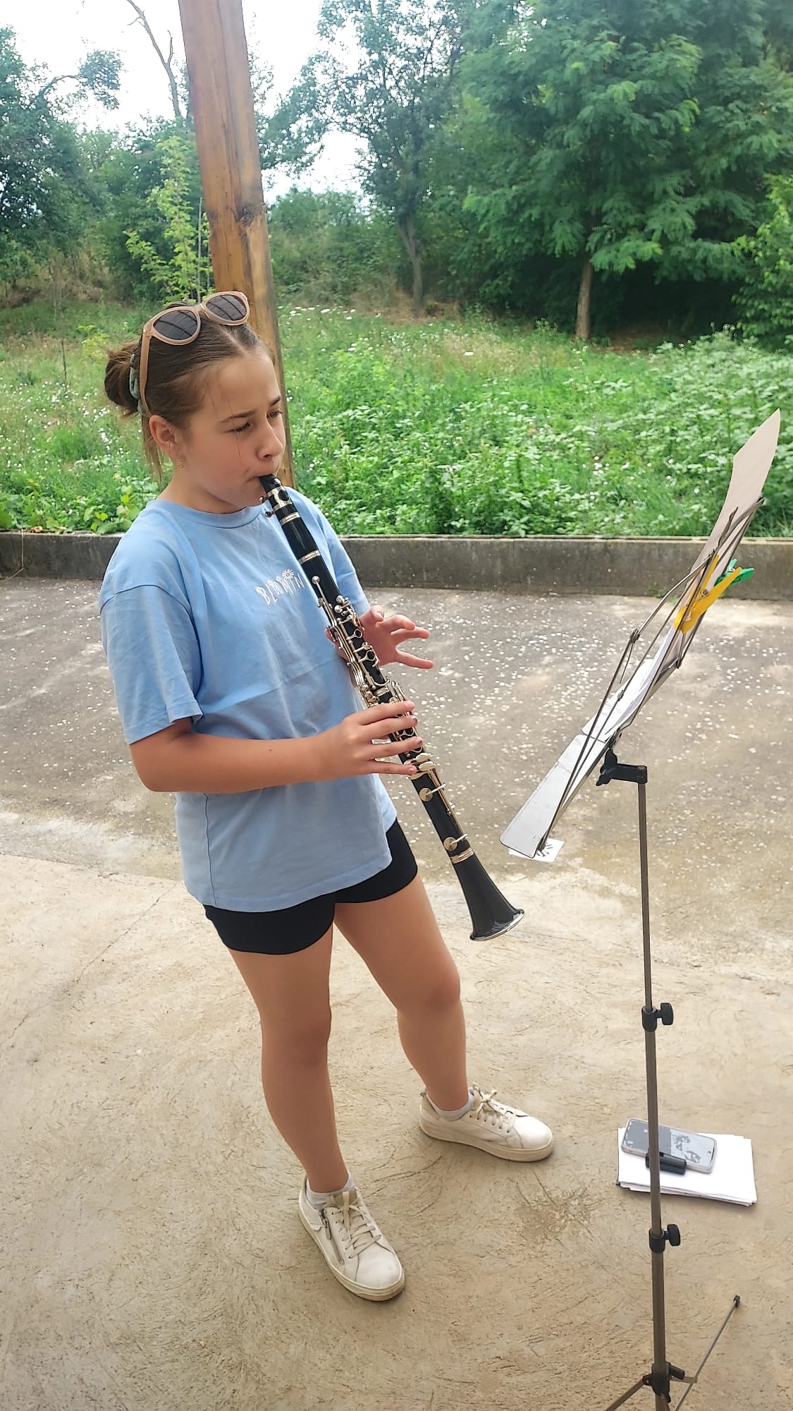 Tabara de muzica (1)