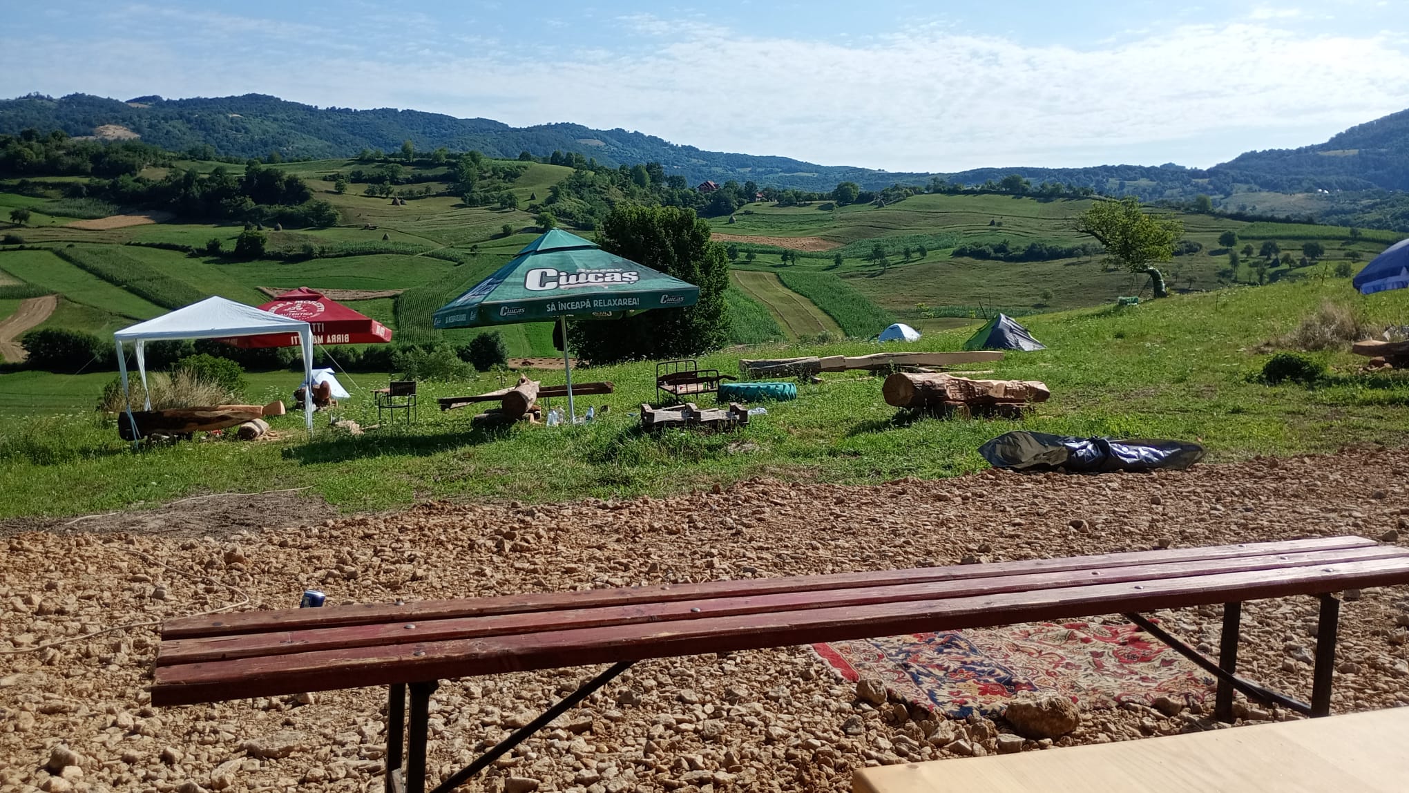 Arta-n teleacjpeg (3)