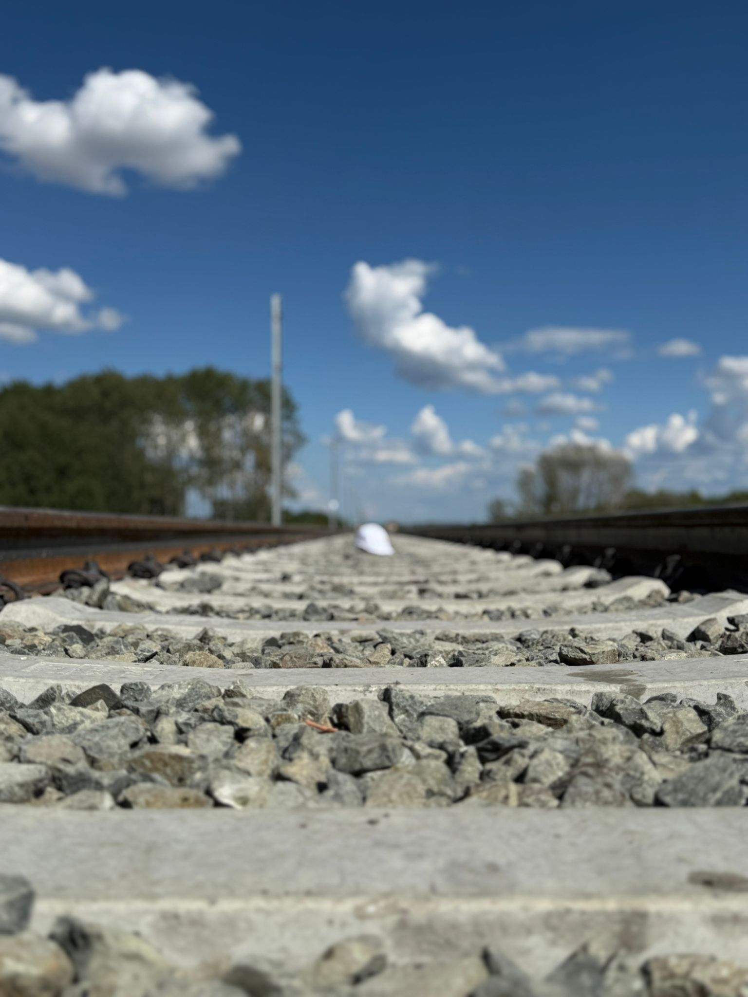 WhatsApp Image 2025-07-31 at 17.17.47 (5)