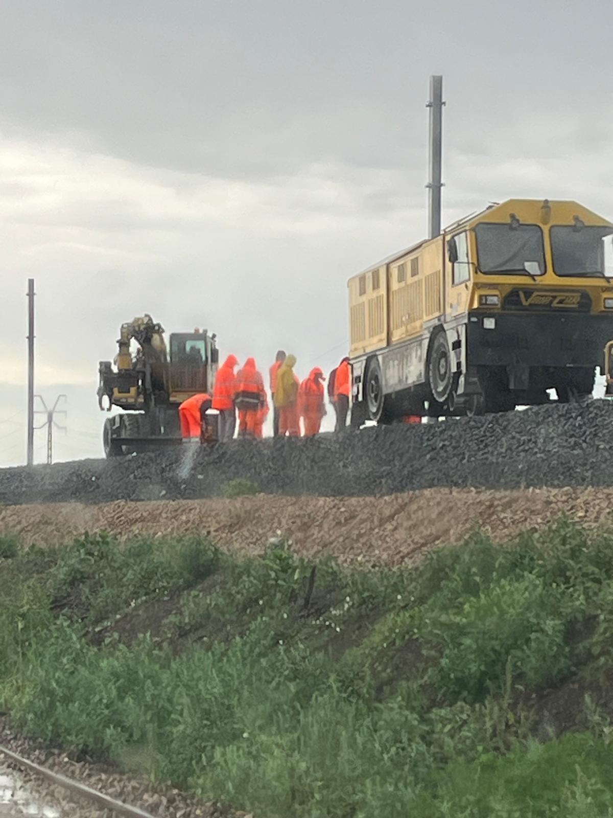 WhatsApp Image 2025-07-31 at 17.19.08