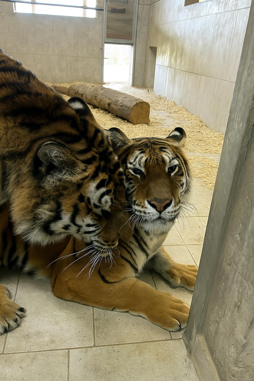 525886033_30556366360678180_5327109371347655519_n