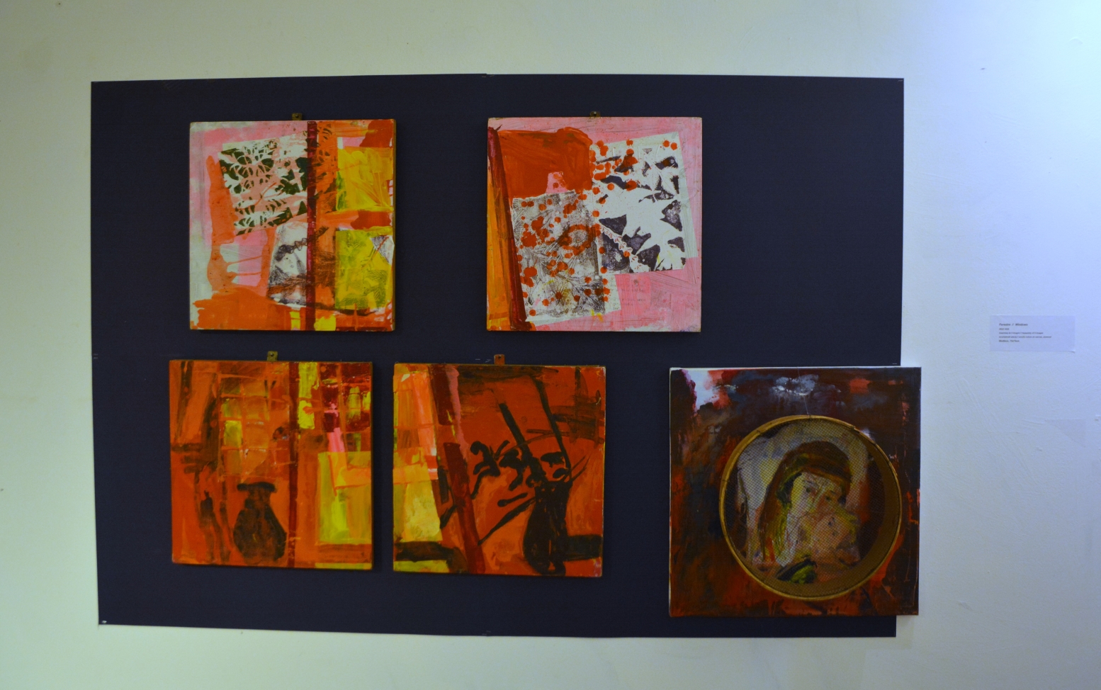 Expoziţie Nada Panait (6)