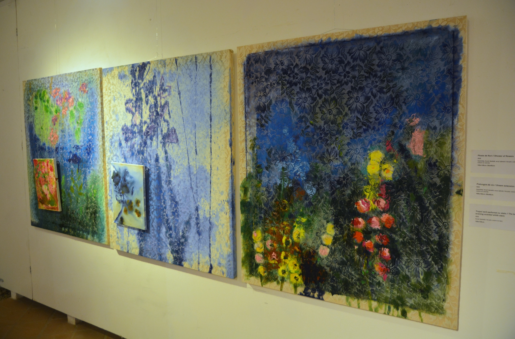 Expoziţie Nada Panait (7)