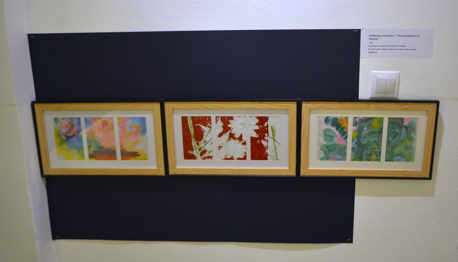 Expoziţie Nada Panait (10)