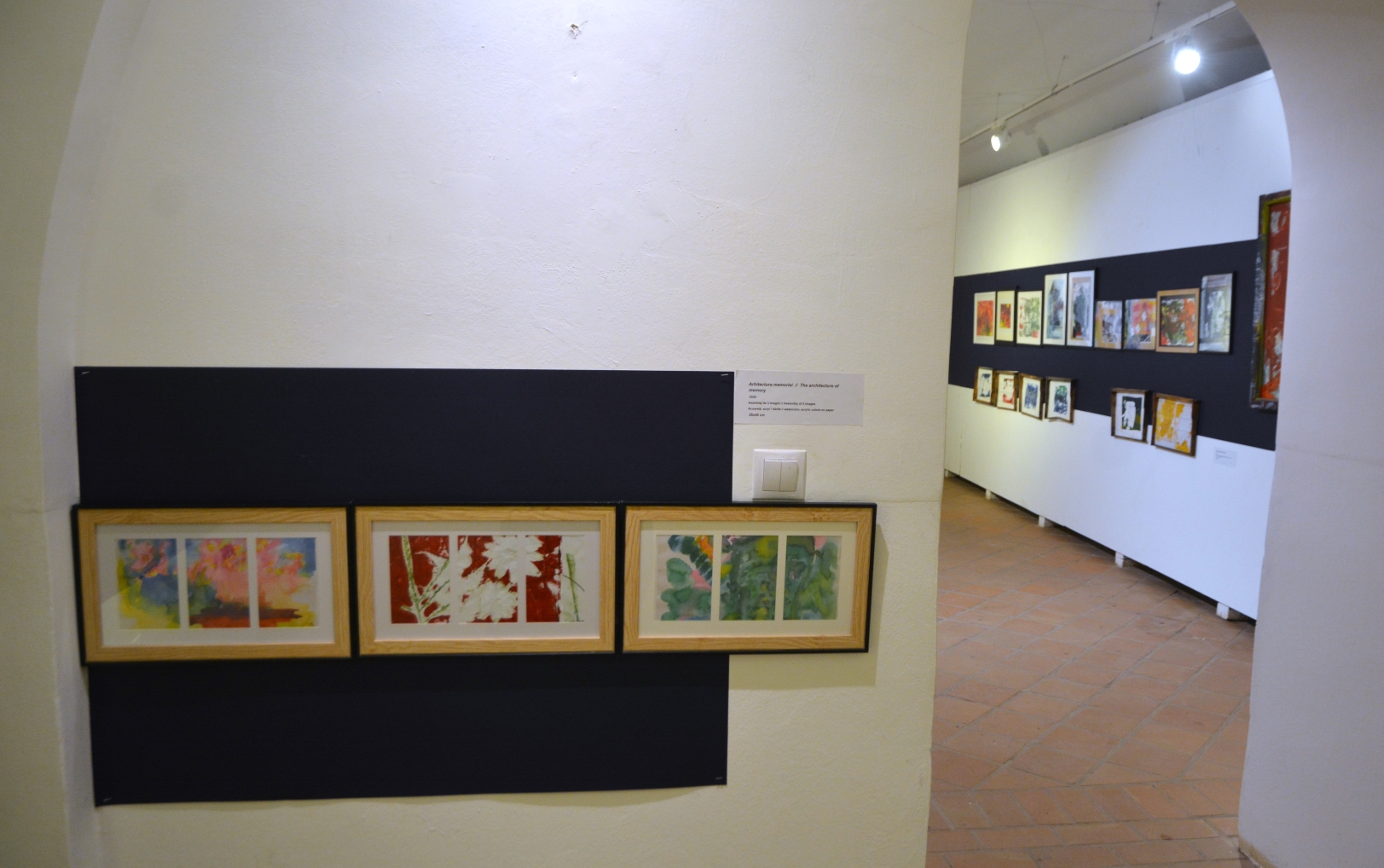 Expoziţie Nada Panait (11)