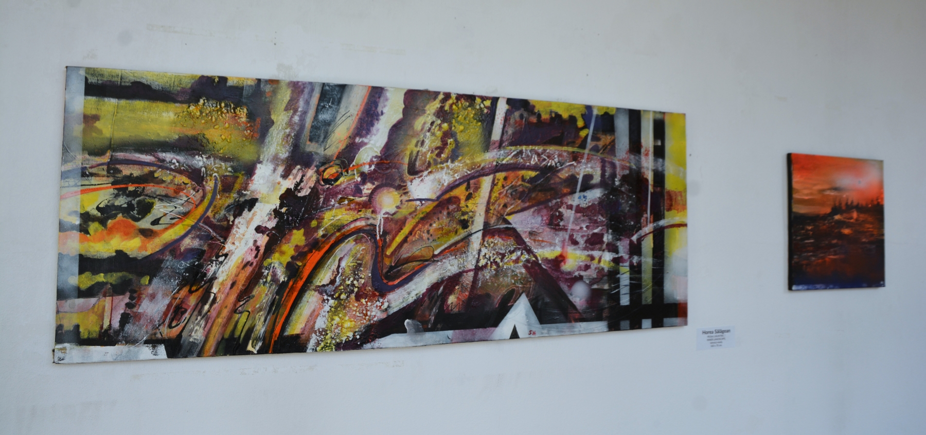 Expoziţie Horea Sălăgean (1)