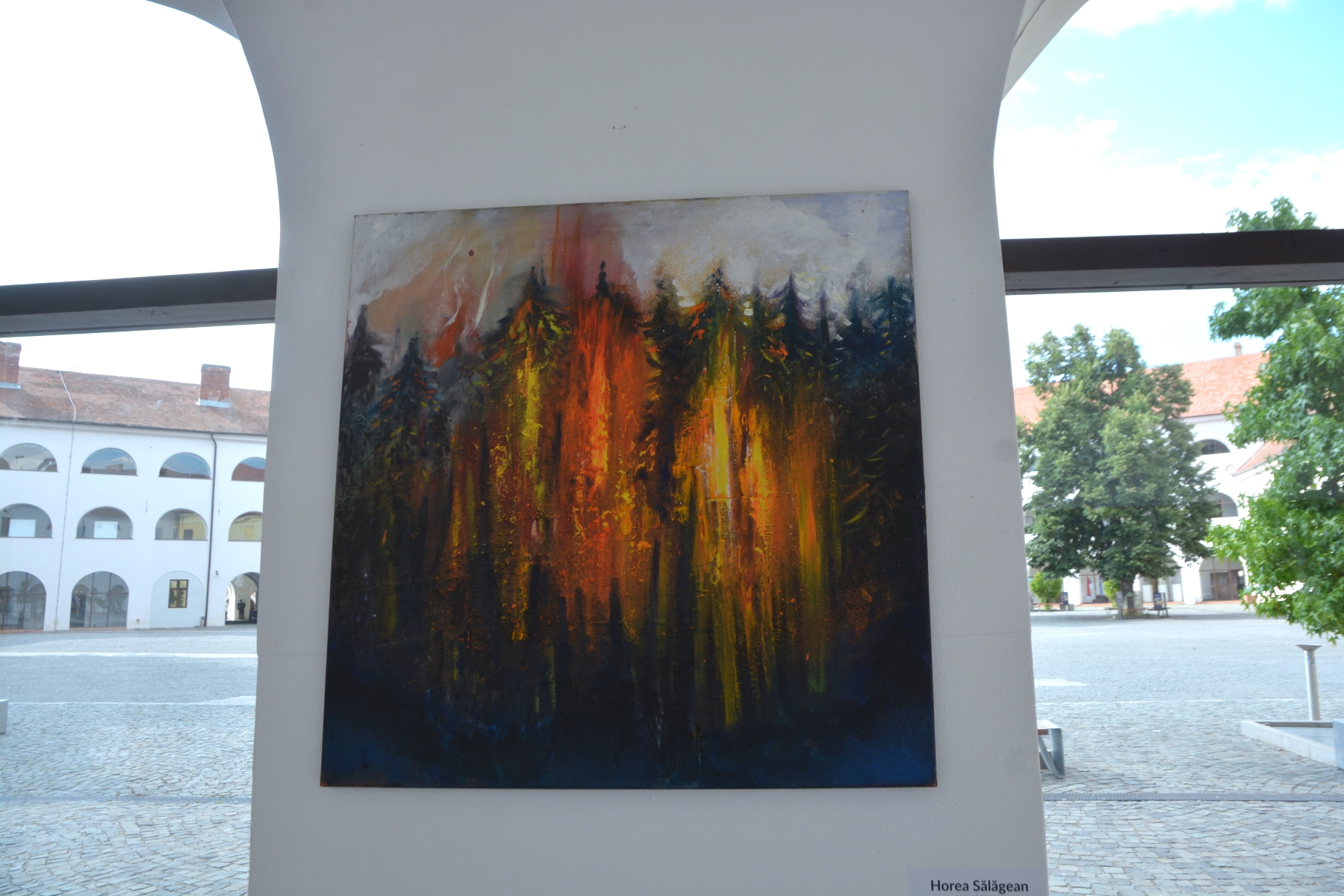 Expoziţie Horea Sălăgean (2)