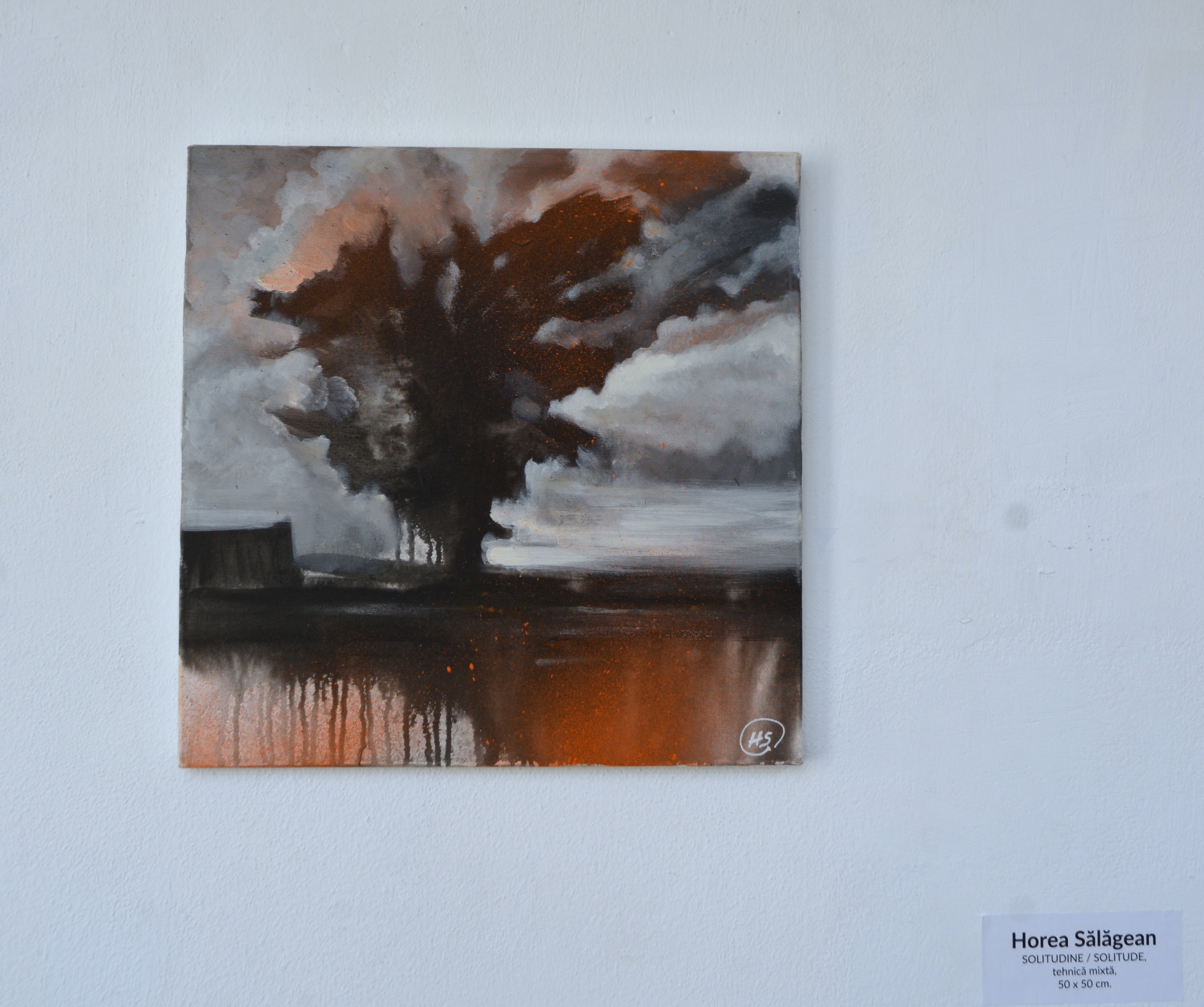 Expoziţie Horea Sălăgean (5)