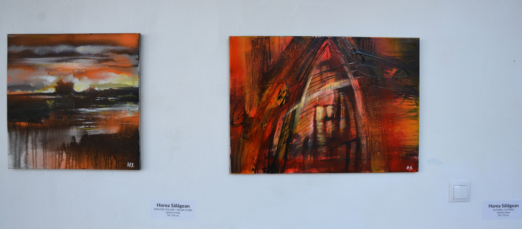 Expoziţie Horea Sălăgean (6)