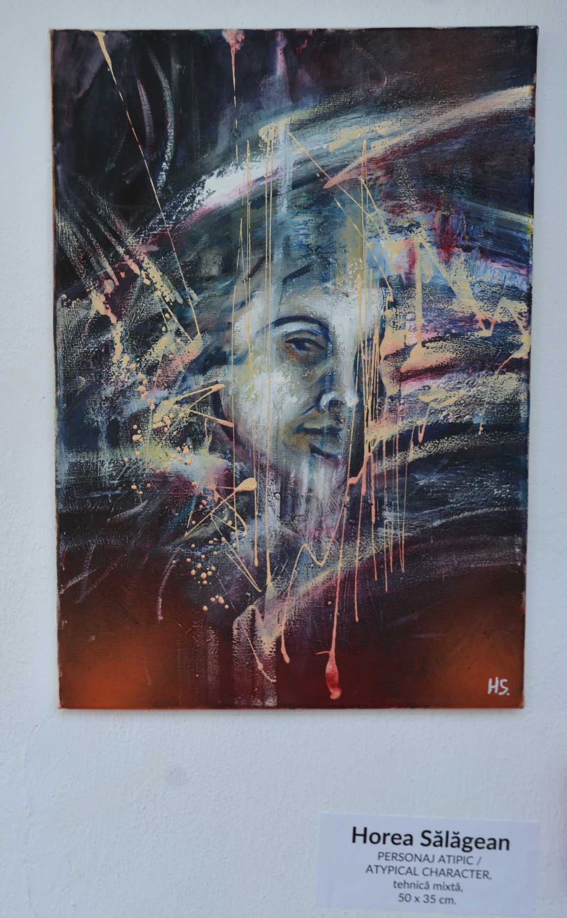 Expoziţie Horea Sălăgean (7)