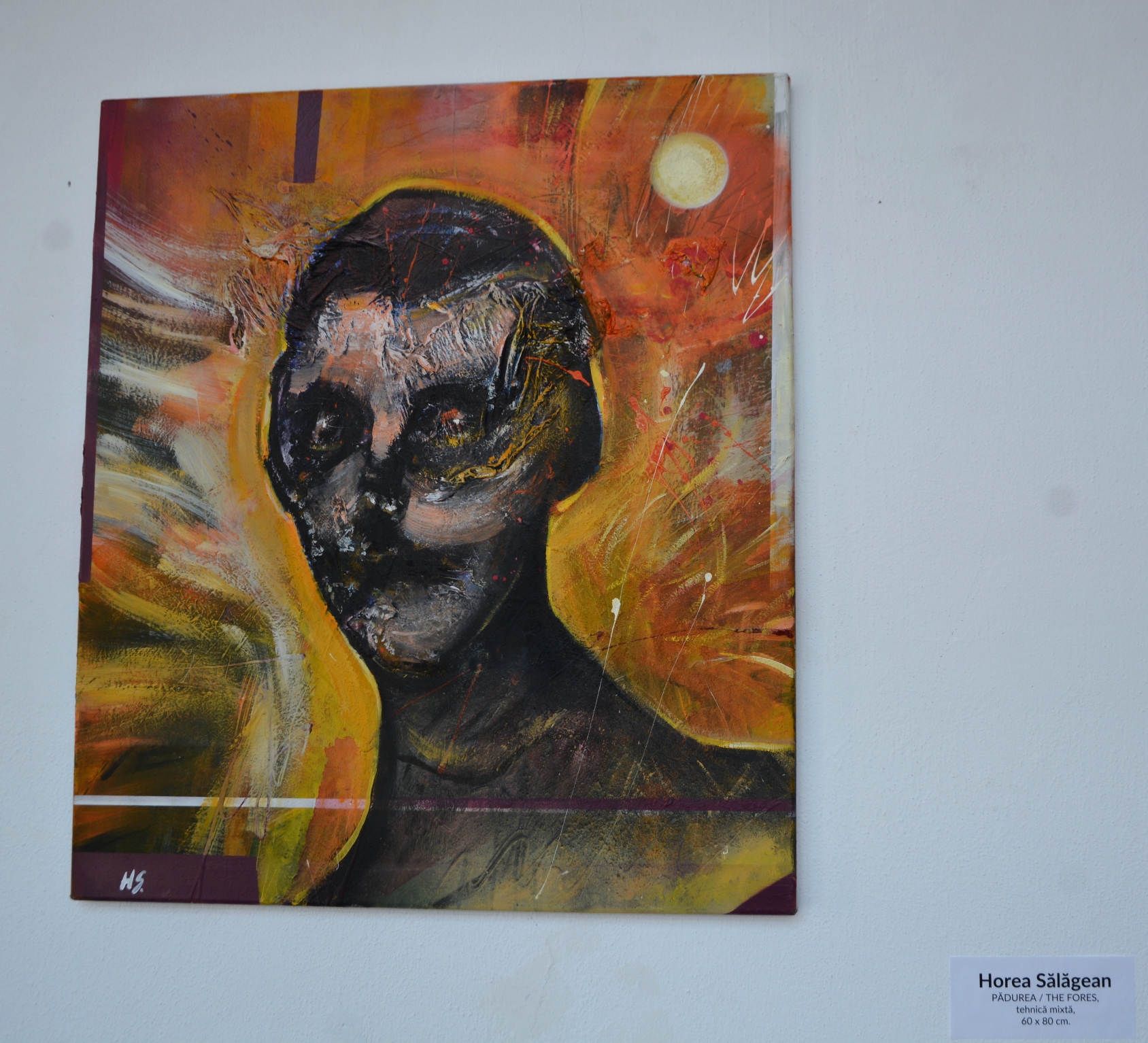 Expoziţie Horea Sălăgean (8)