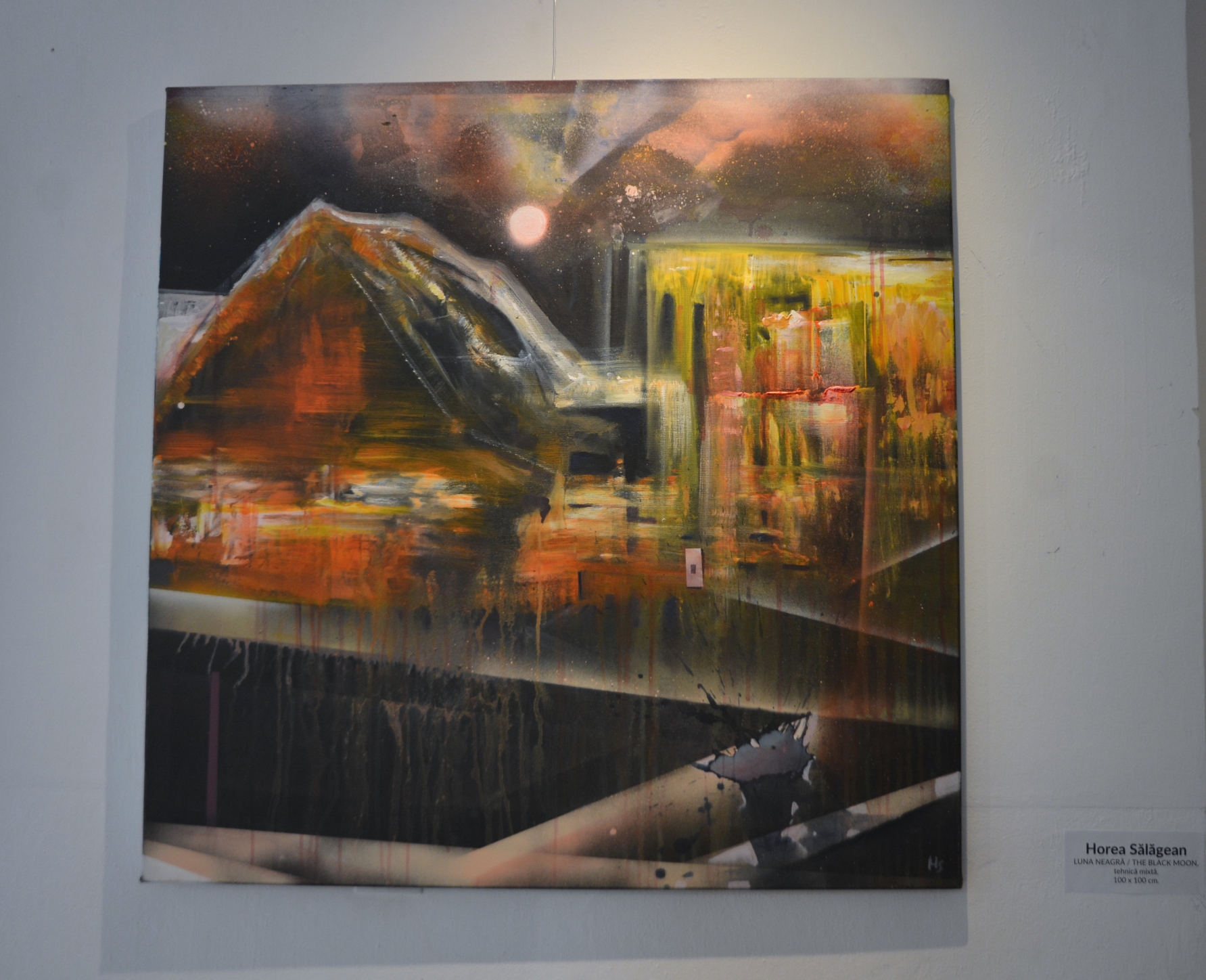 Expoziţie Horea Sălăgean (9)