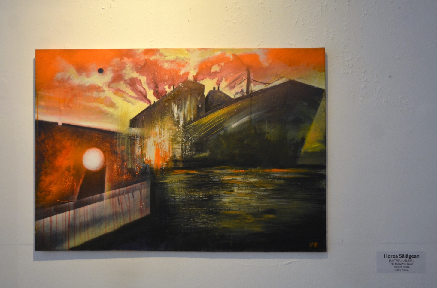 Expoziţie Horea Sălăgean (10)