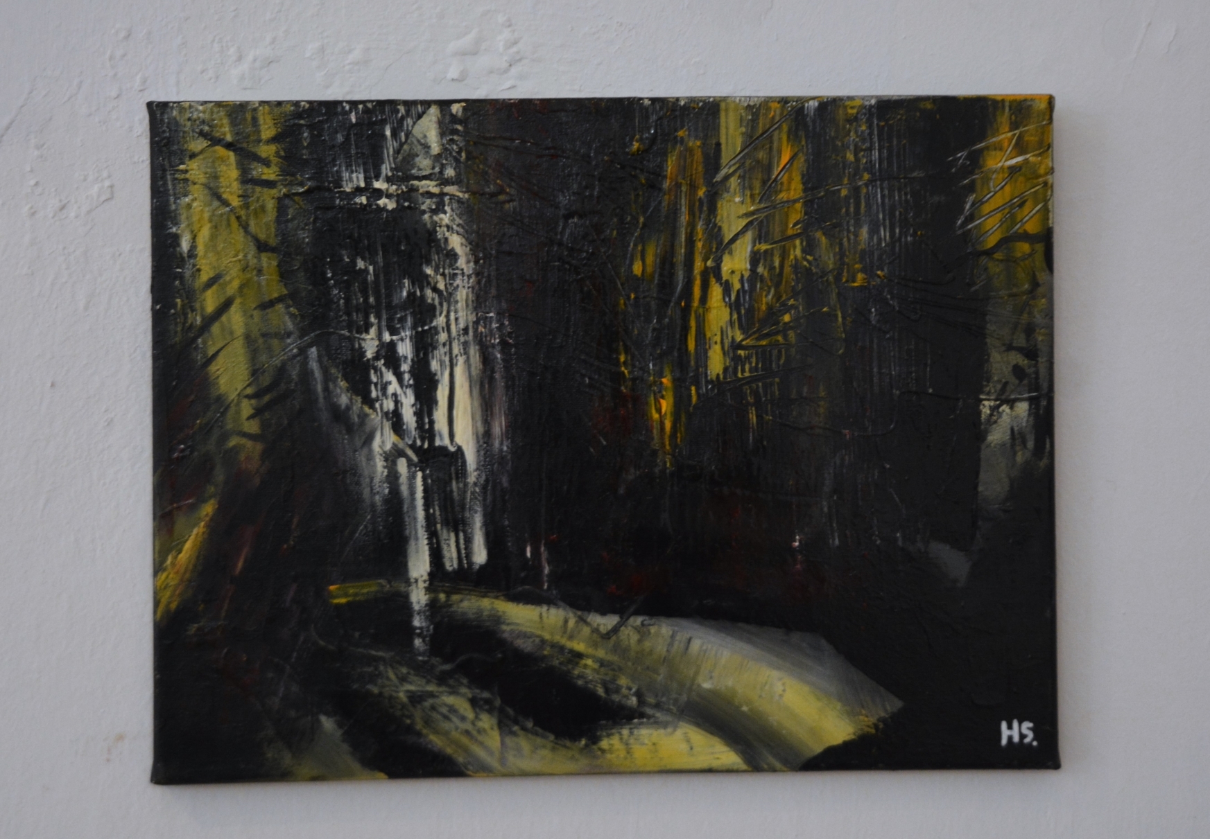 Expoziţie Horea Sălăgean (11)