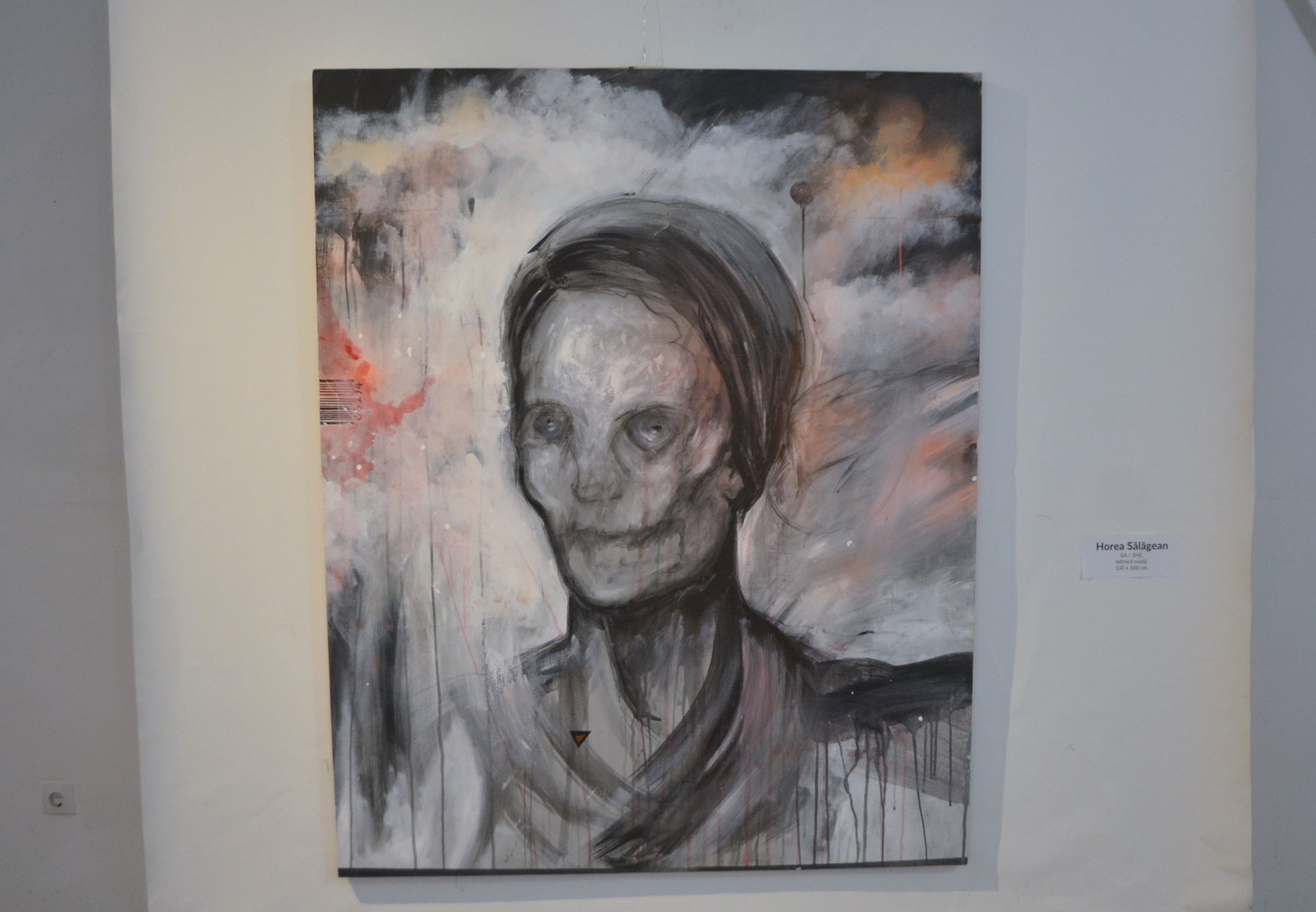 Expoziţie Horea Sălăgean (12)