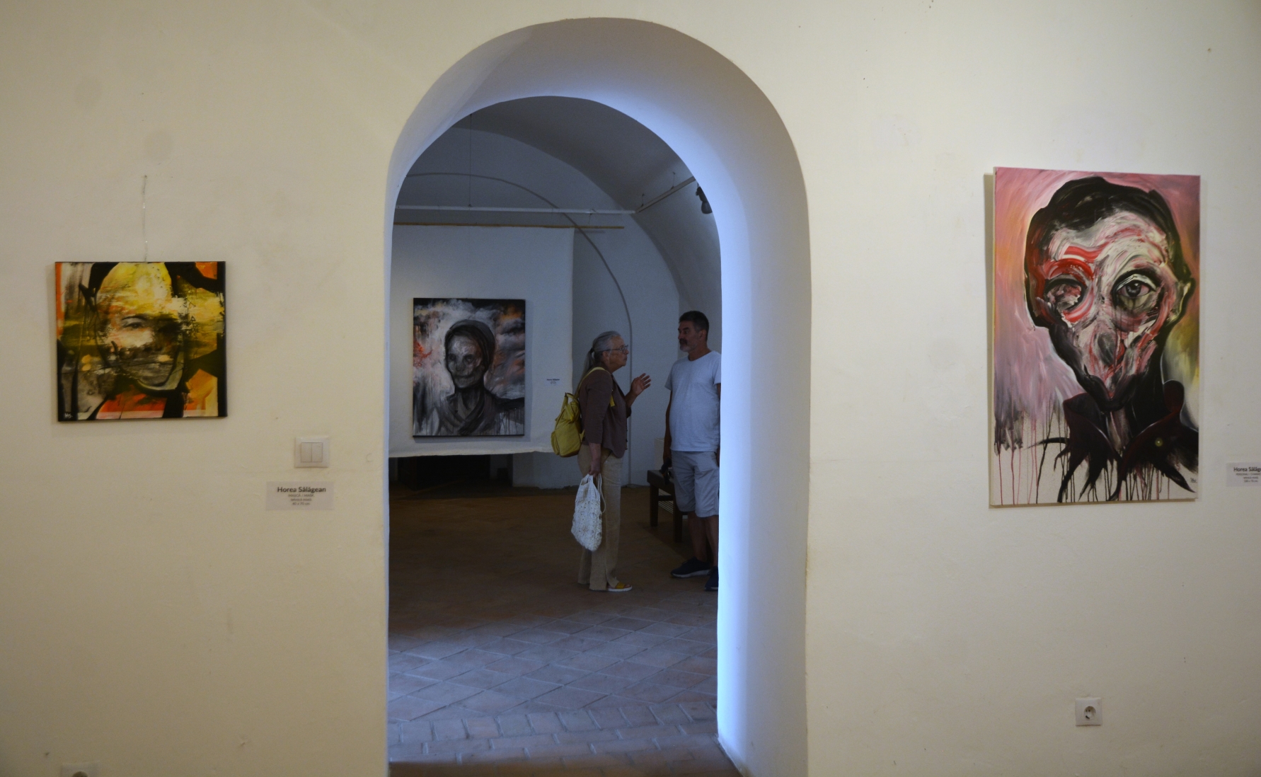 Expoziţie Horea Sălăgean (16)