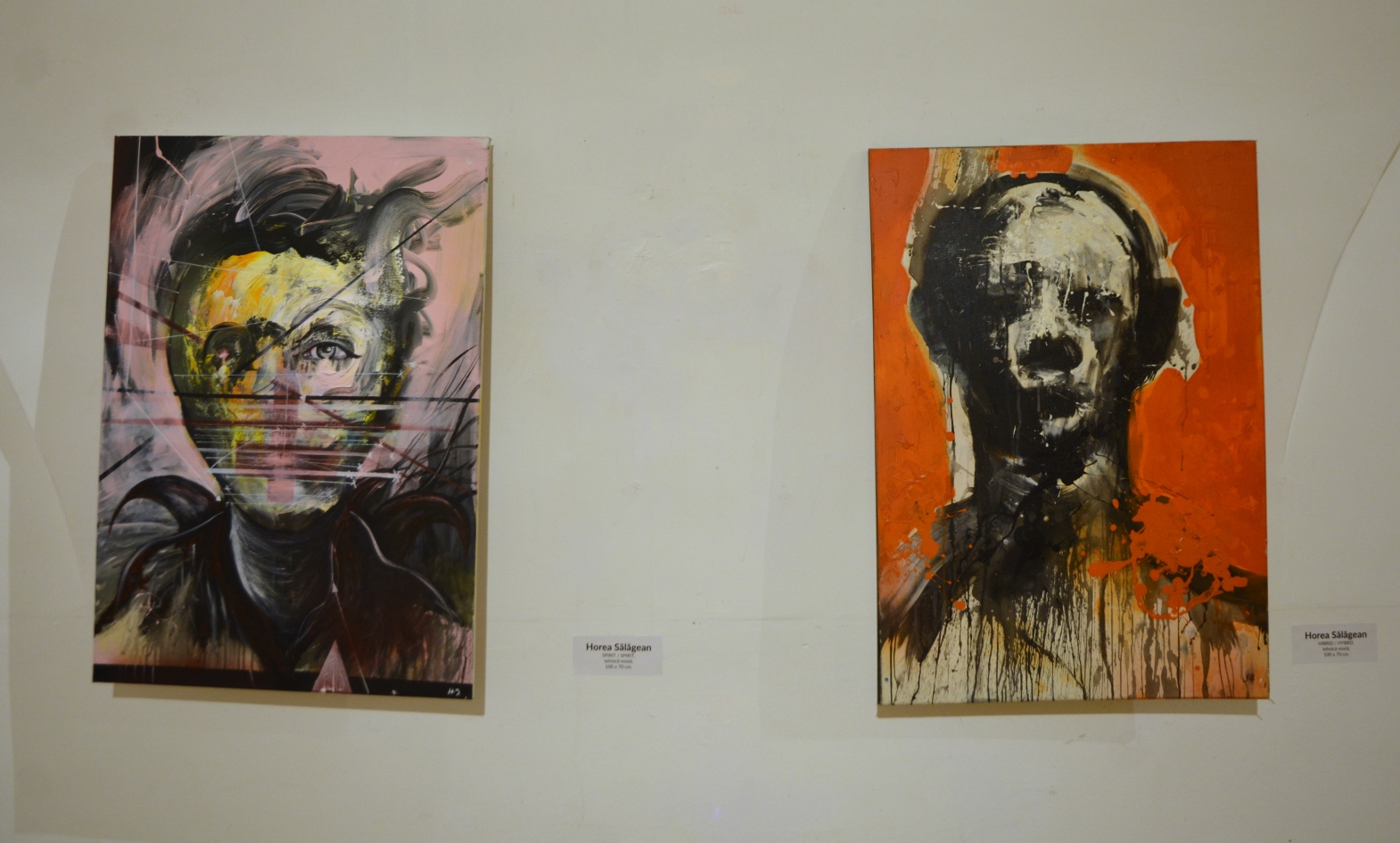 Expoziţie Horea Sălăgean (17)