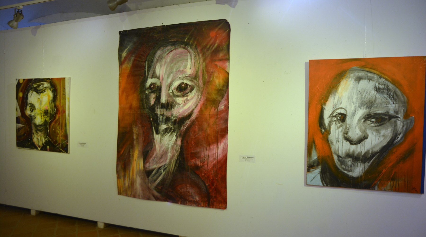 Expoziţie Horea Sălăgean (18)