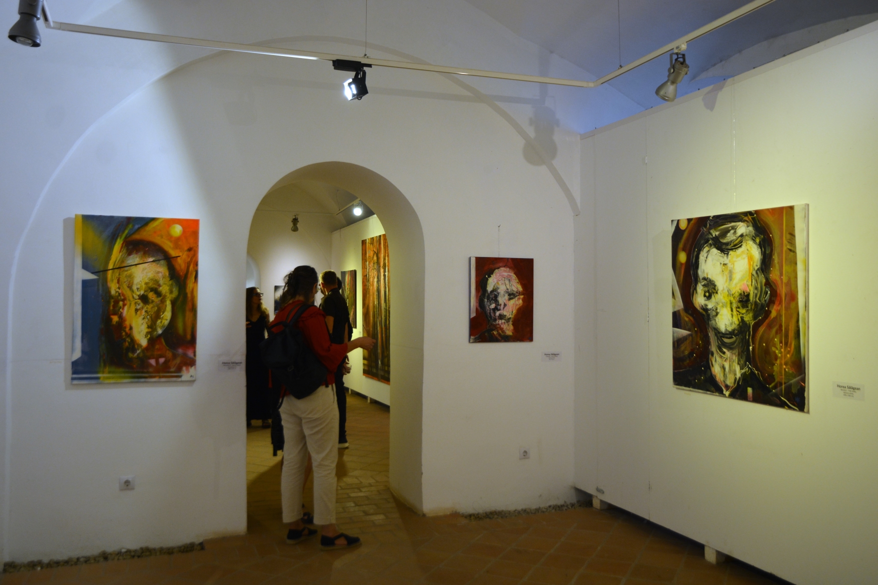 Expoziţie Horea Sălăgean (19)