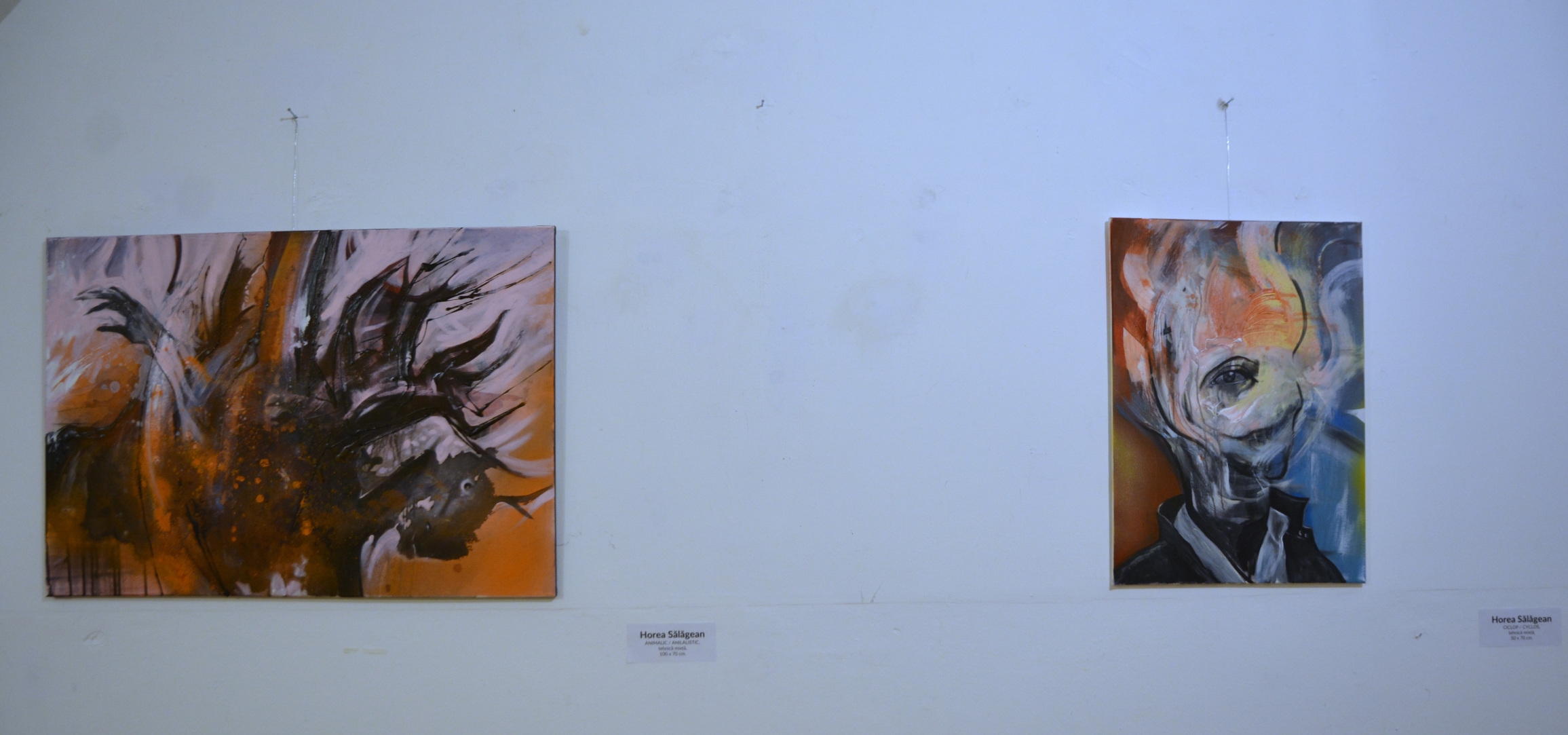 Expoziţie Horea Sălăgean (20)