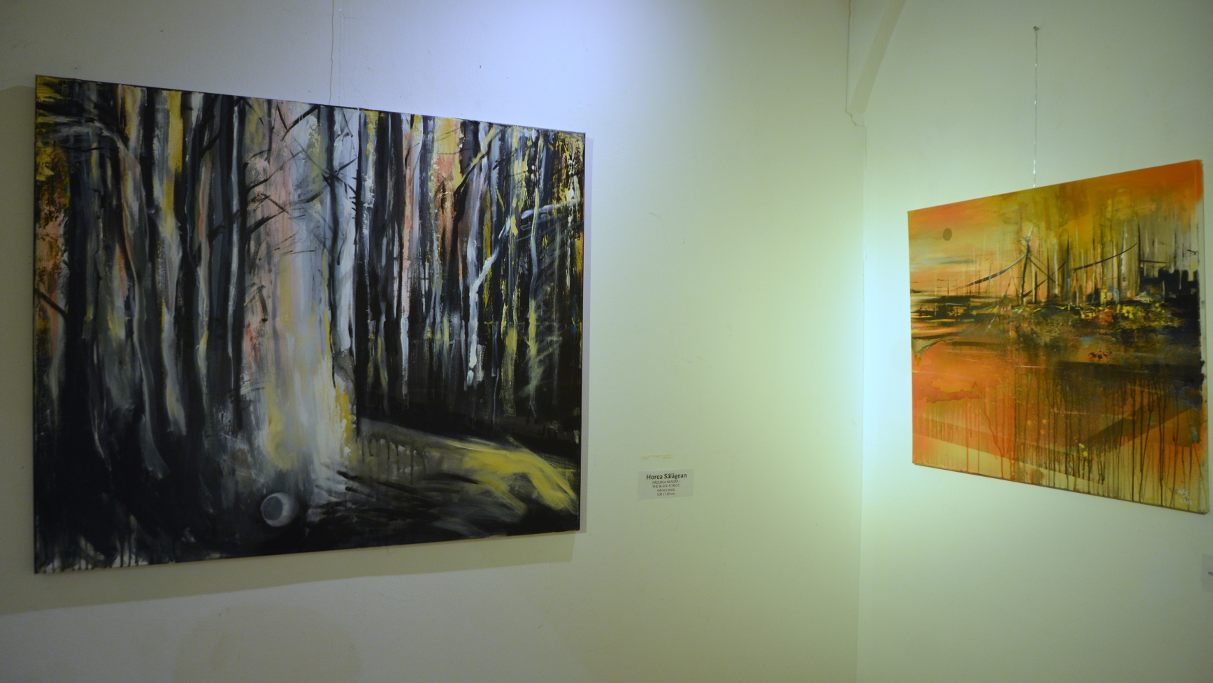 Expoziţie Horea Sălăgean (21)