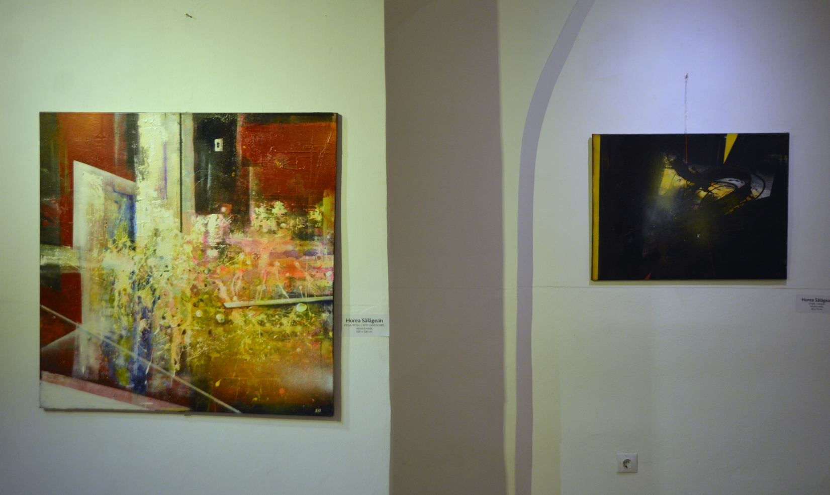 Expoziţie Horea Sălăgean (24)