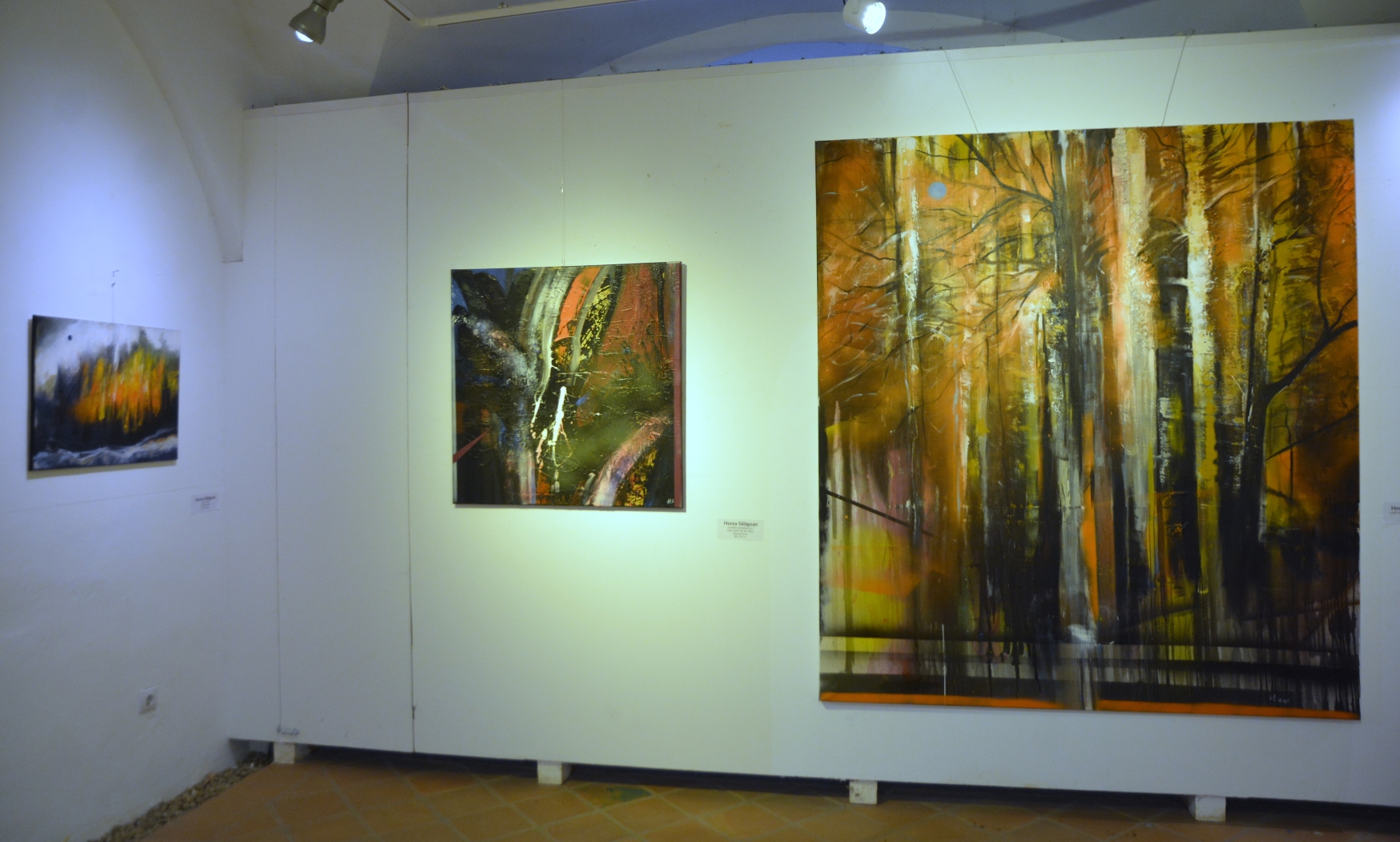 Expoziţie Horea Sălăgean (25)