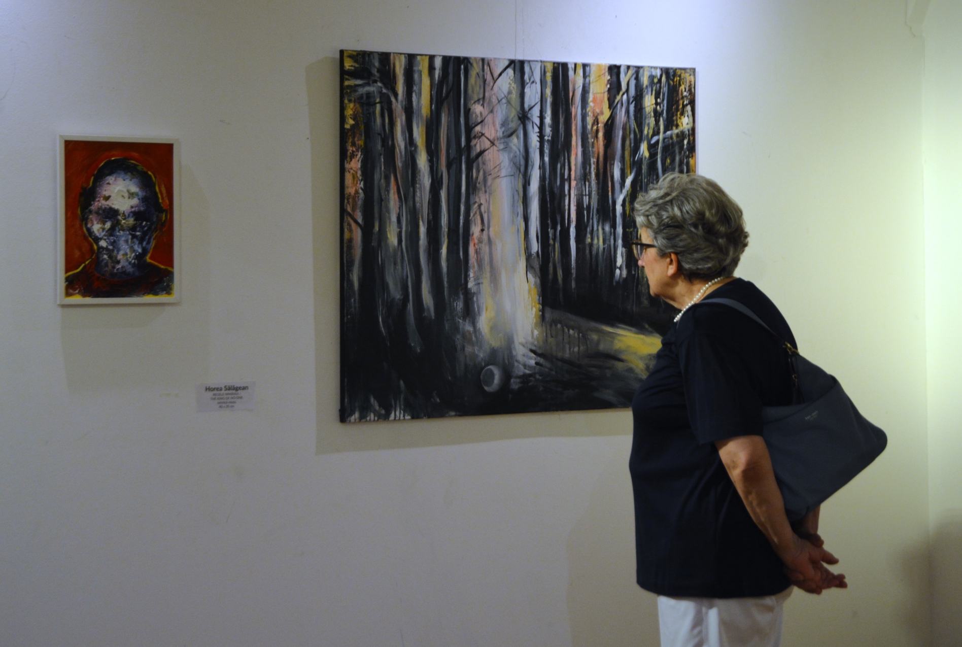 Expoziţie Horea Sălăgean (26)