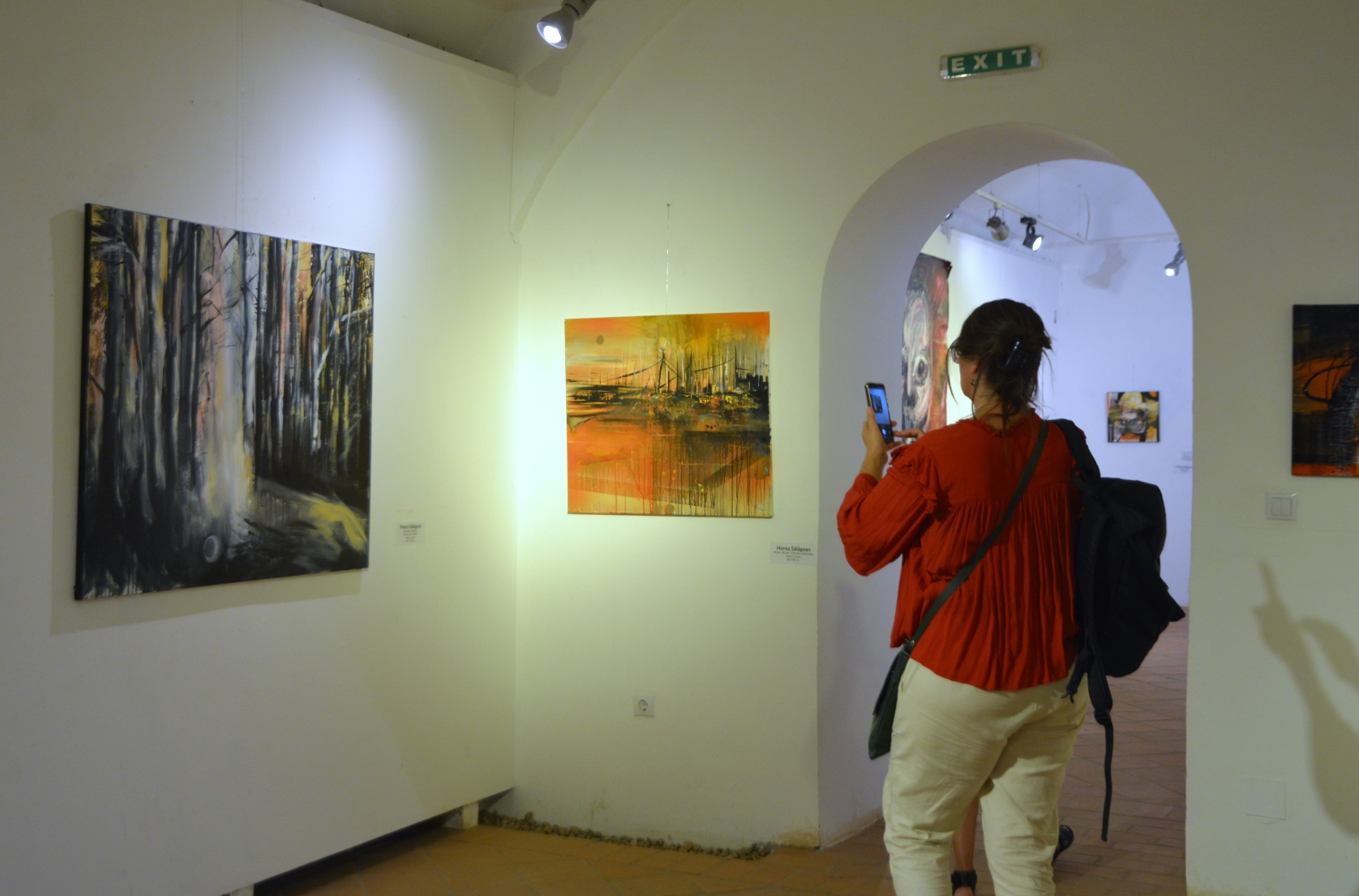 Expoziţie Horea Sălăgean (27)